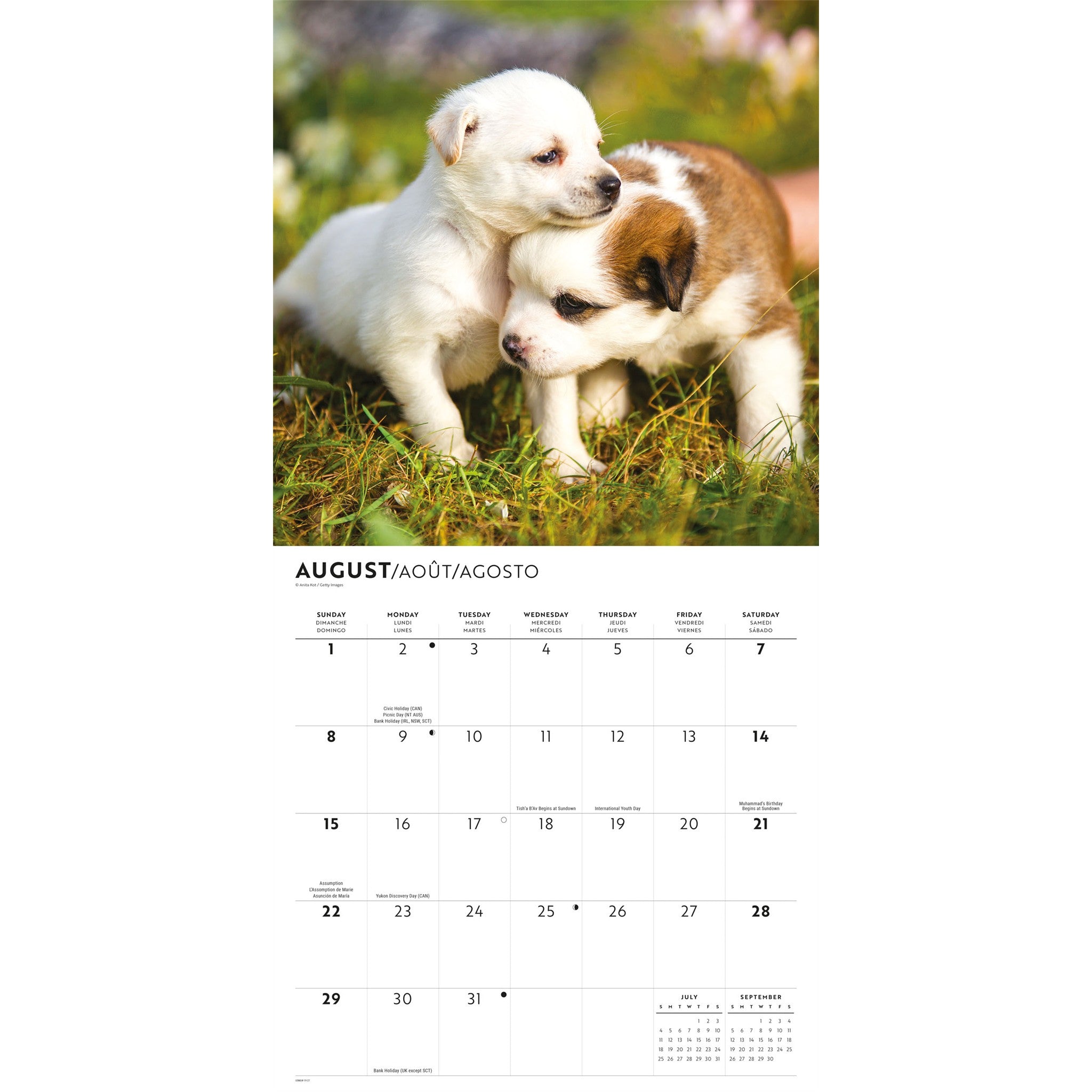 Puppy Love 2027 Wall Calendar