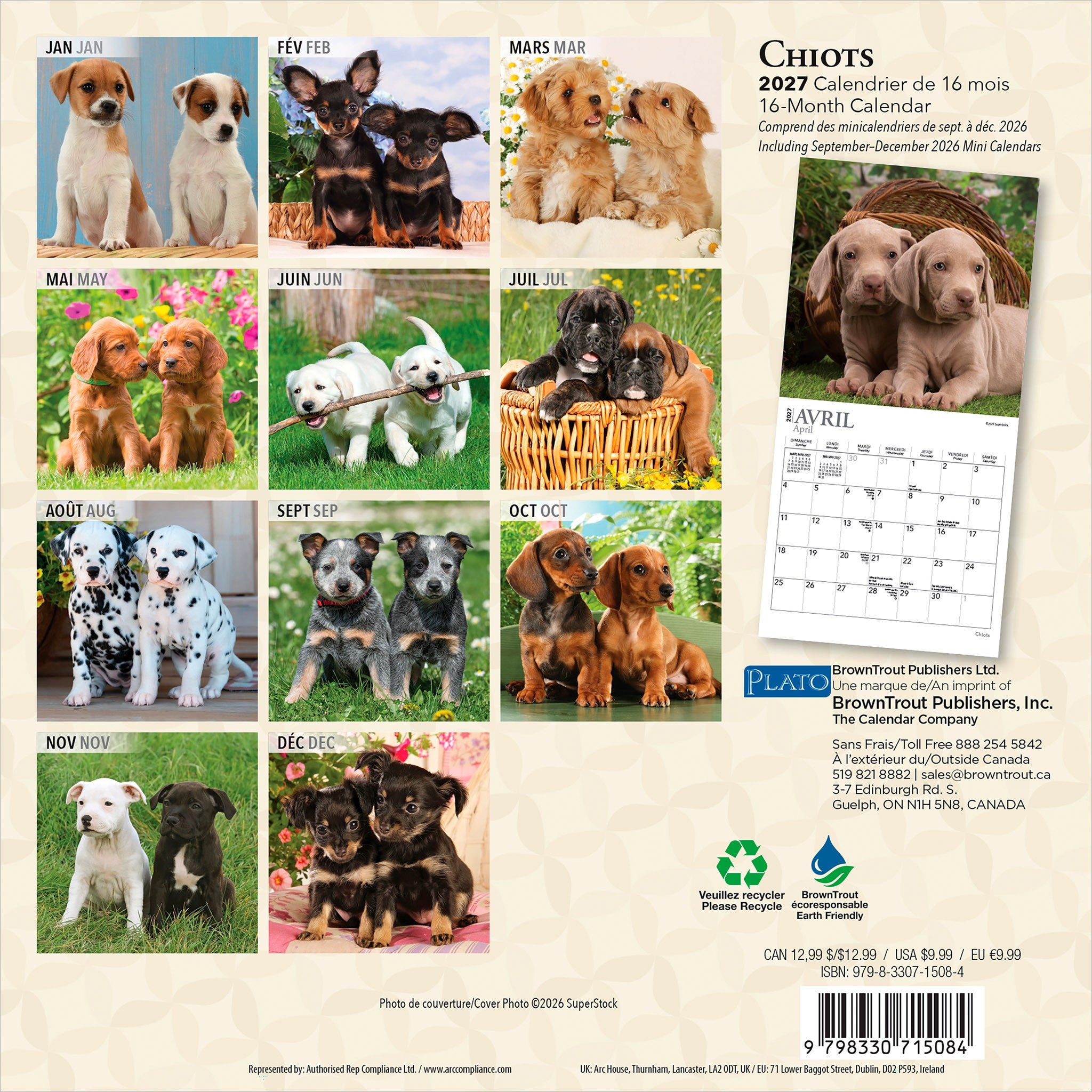 Chiots 2027 Mini Calendar (French)