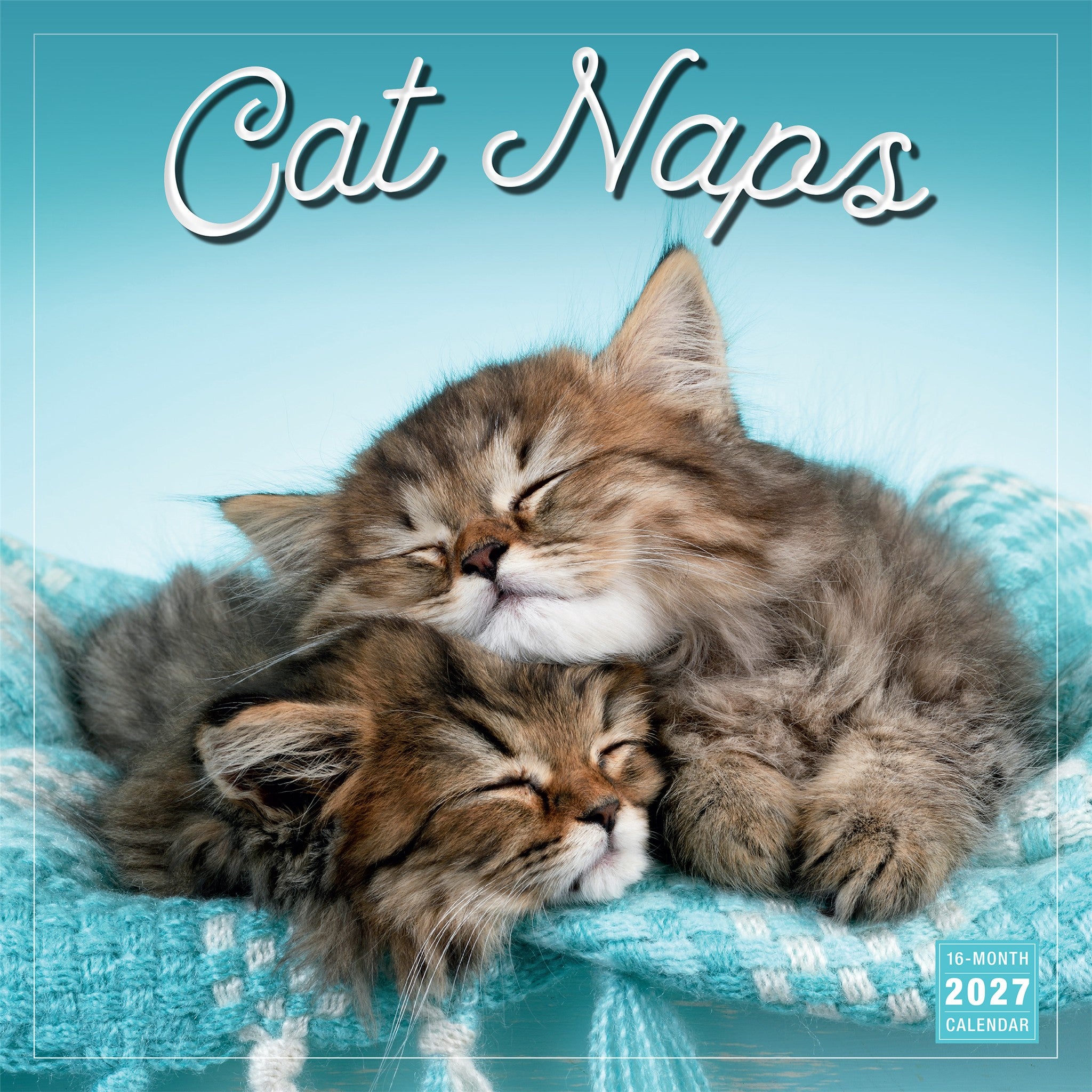 Cat Naps 2027 Wall Calendar - Online Only