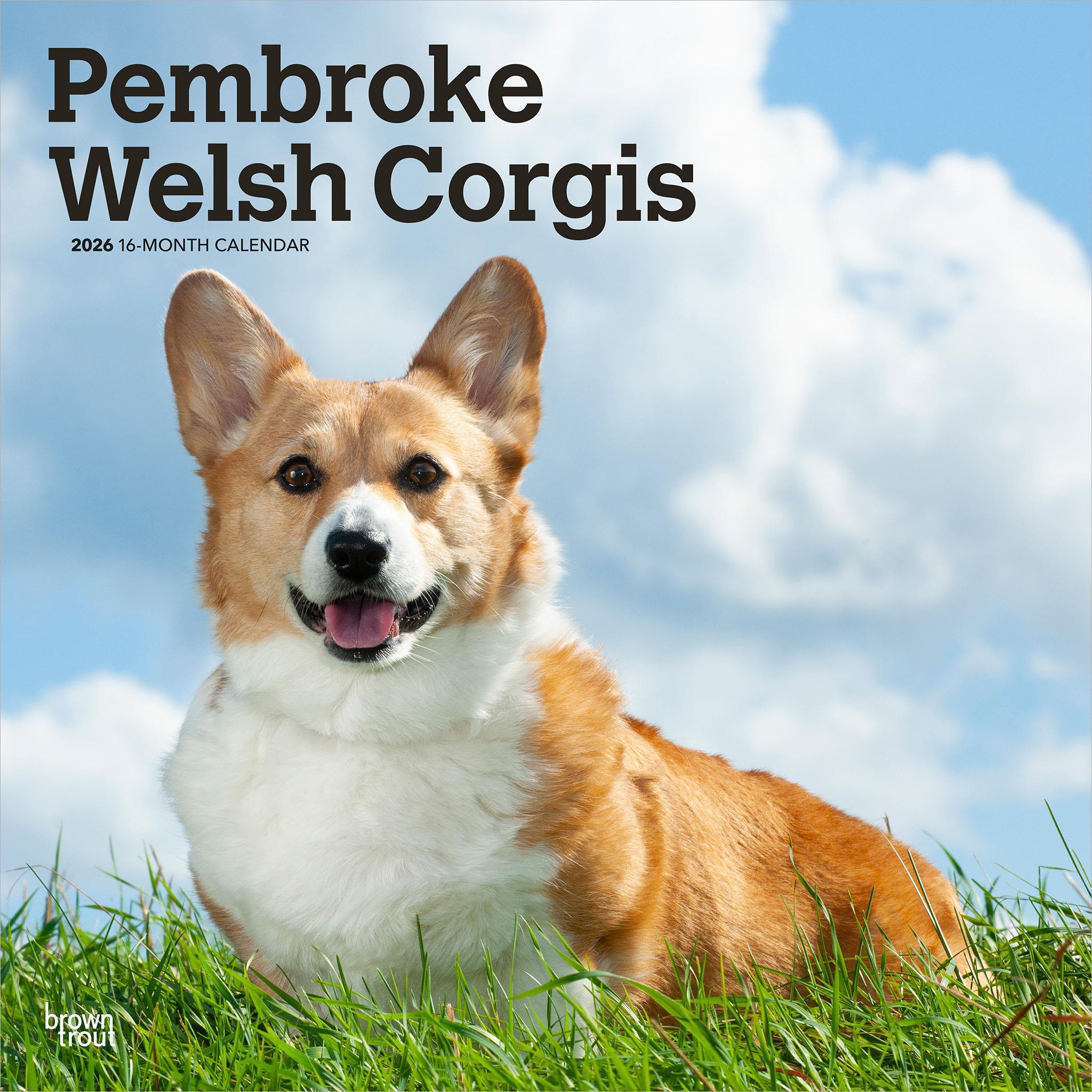 Welsh Corgis Pembroke 2026 Wall Calendar - Online Exclusive