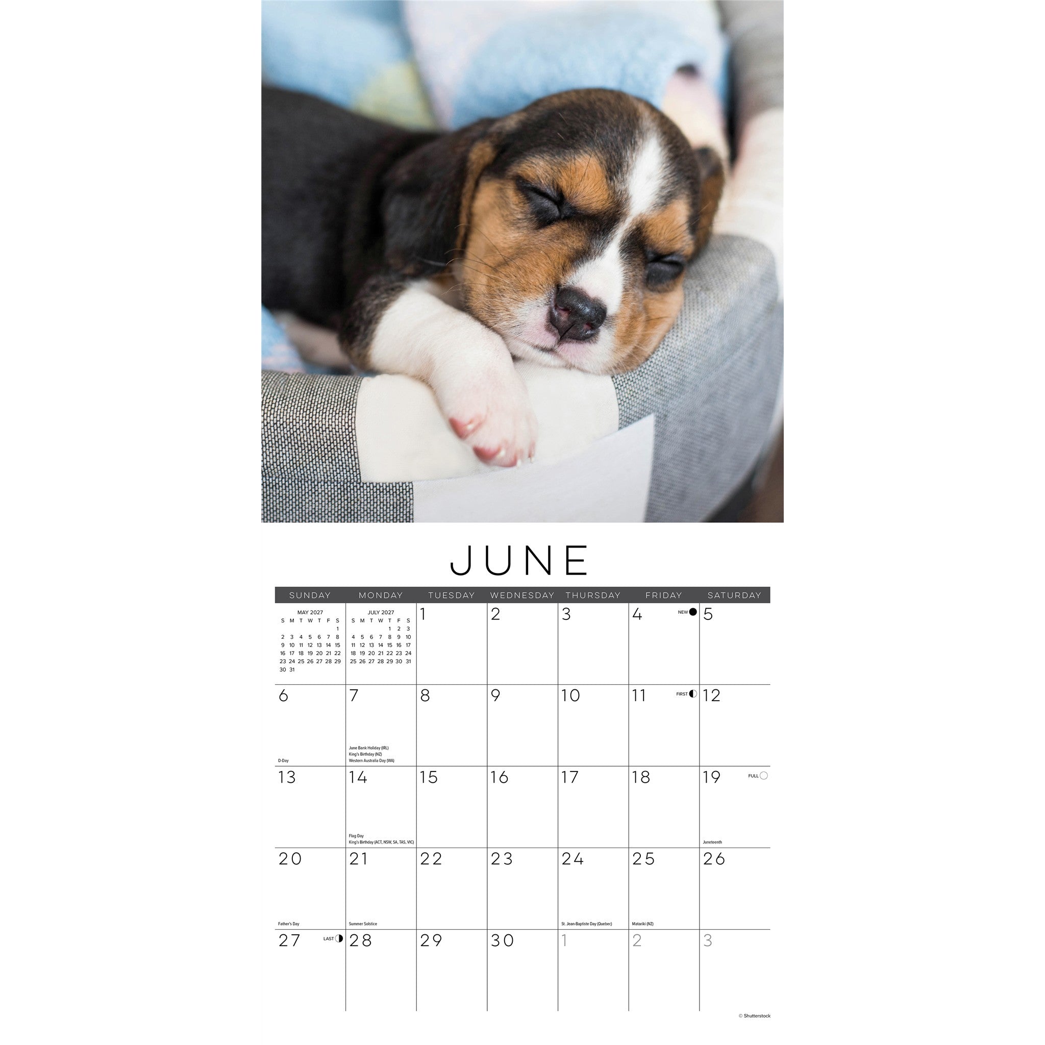 Naptime: Dogs & Puppies on their Best Behavior 2027 Wall Calendar