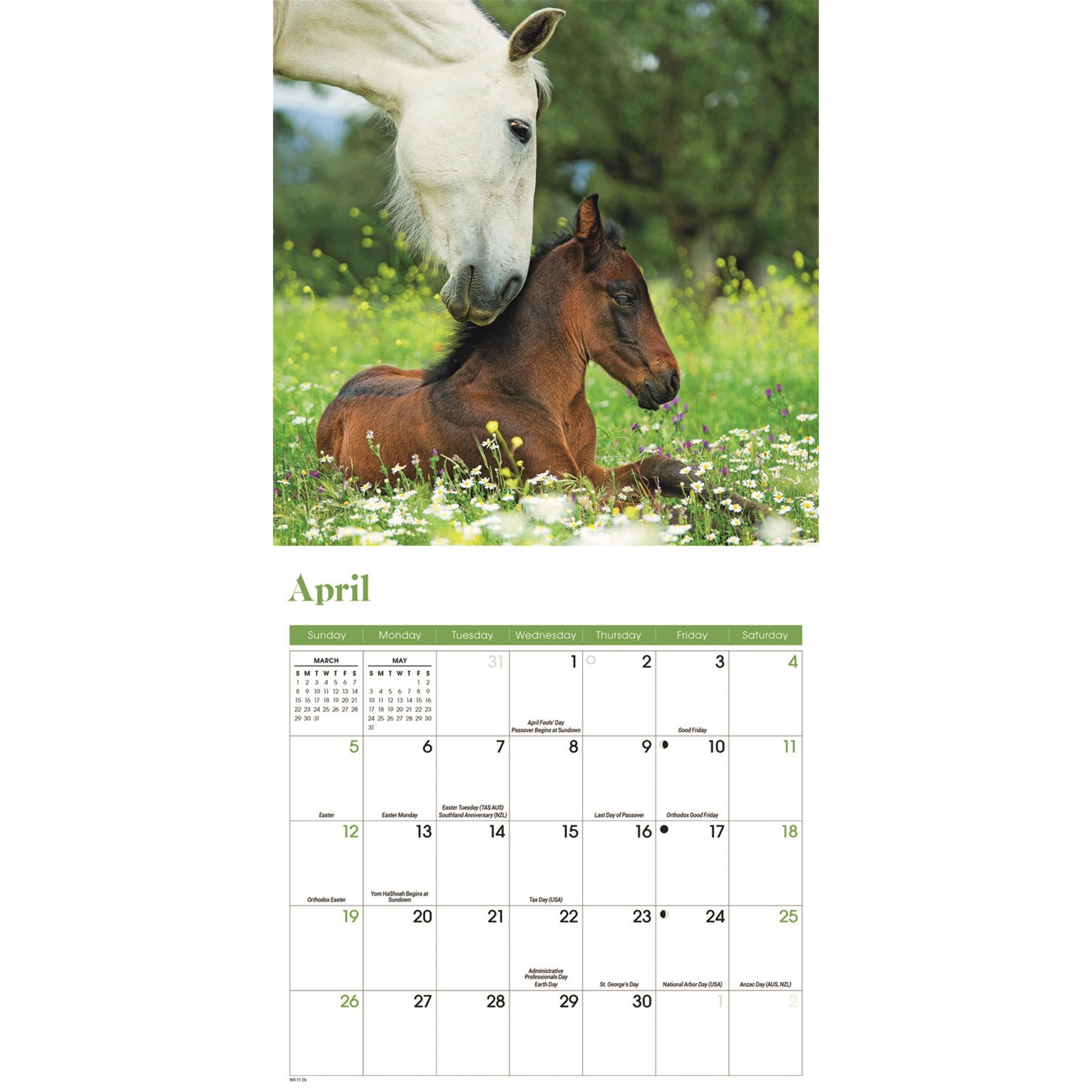 Horses 2026 Mini Calendar