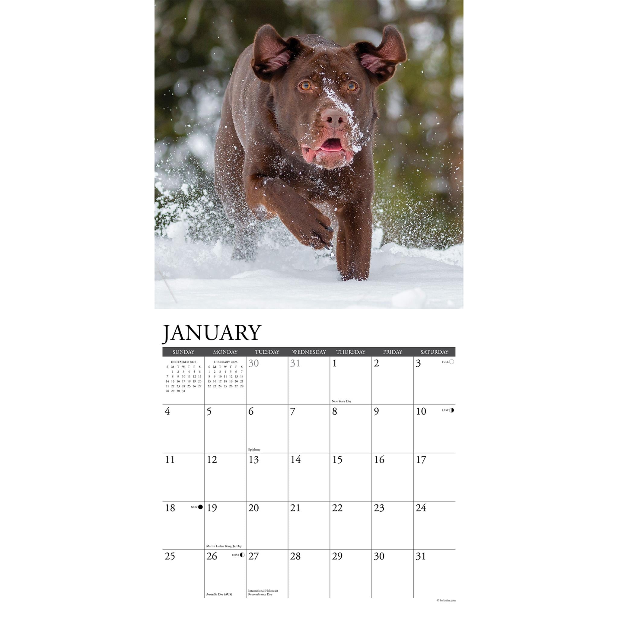 Just Labs 2026 Wall Calendar