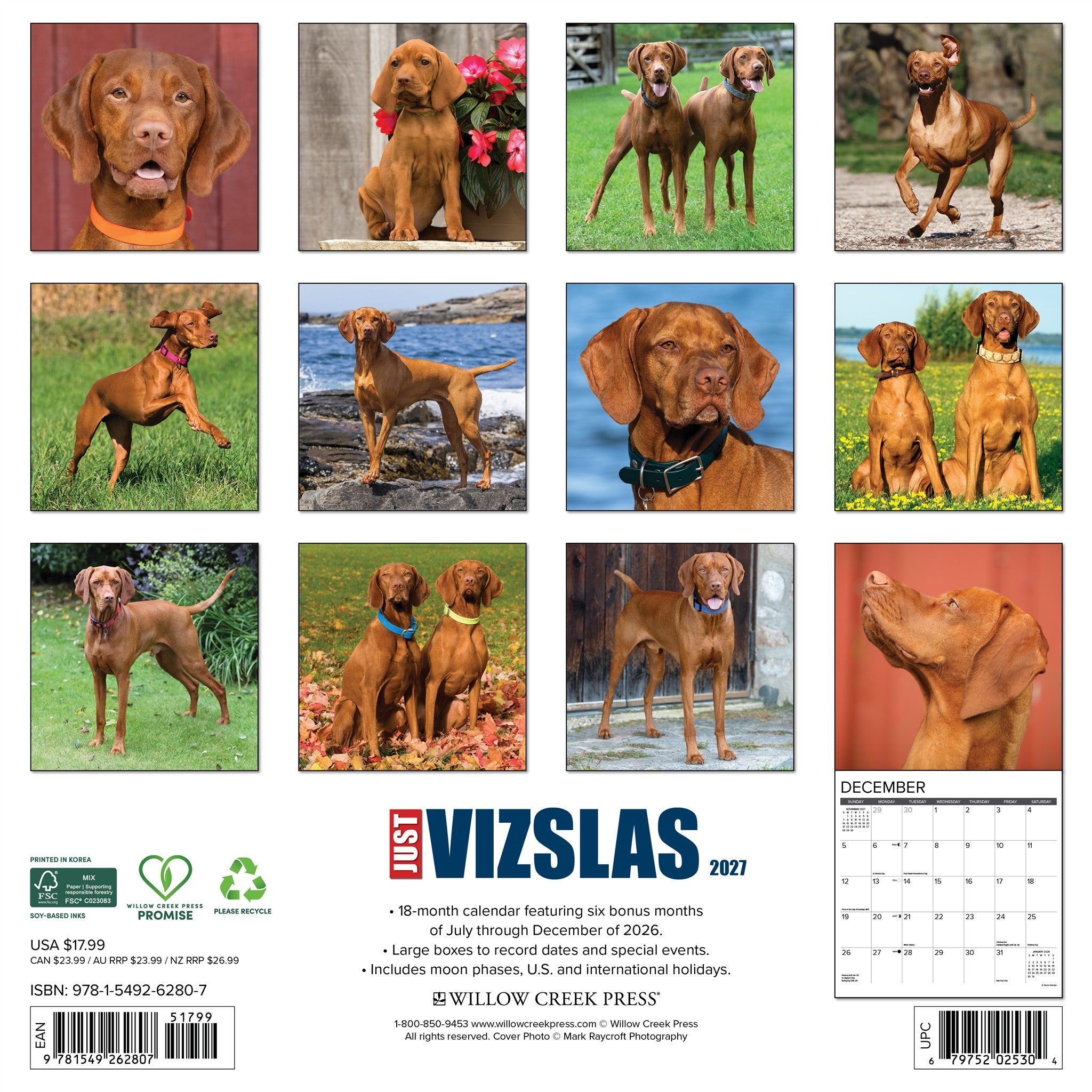 Vizslas 2027 Wall Calendar