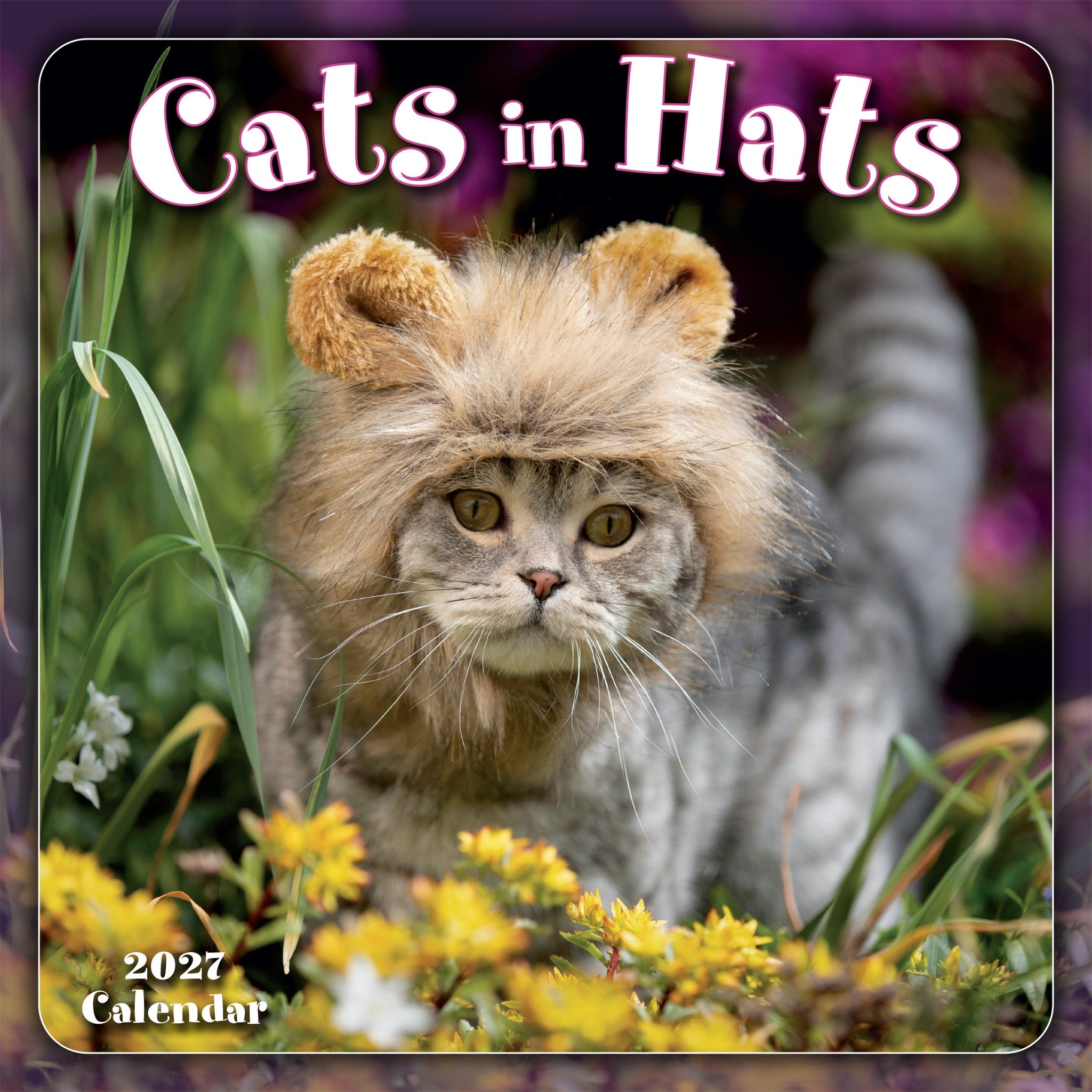 Cats in Hats 2027 Mini Calendar