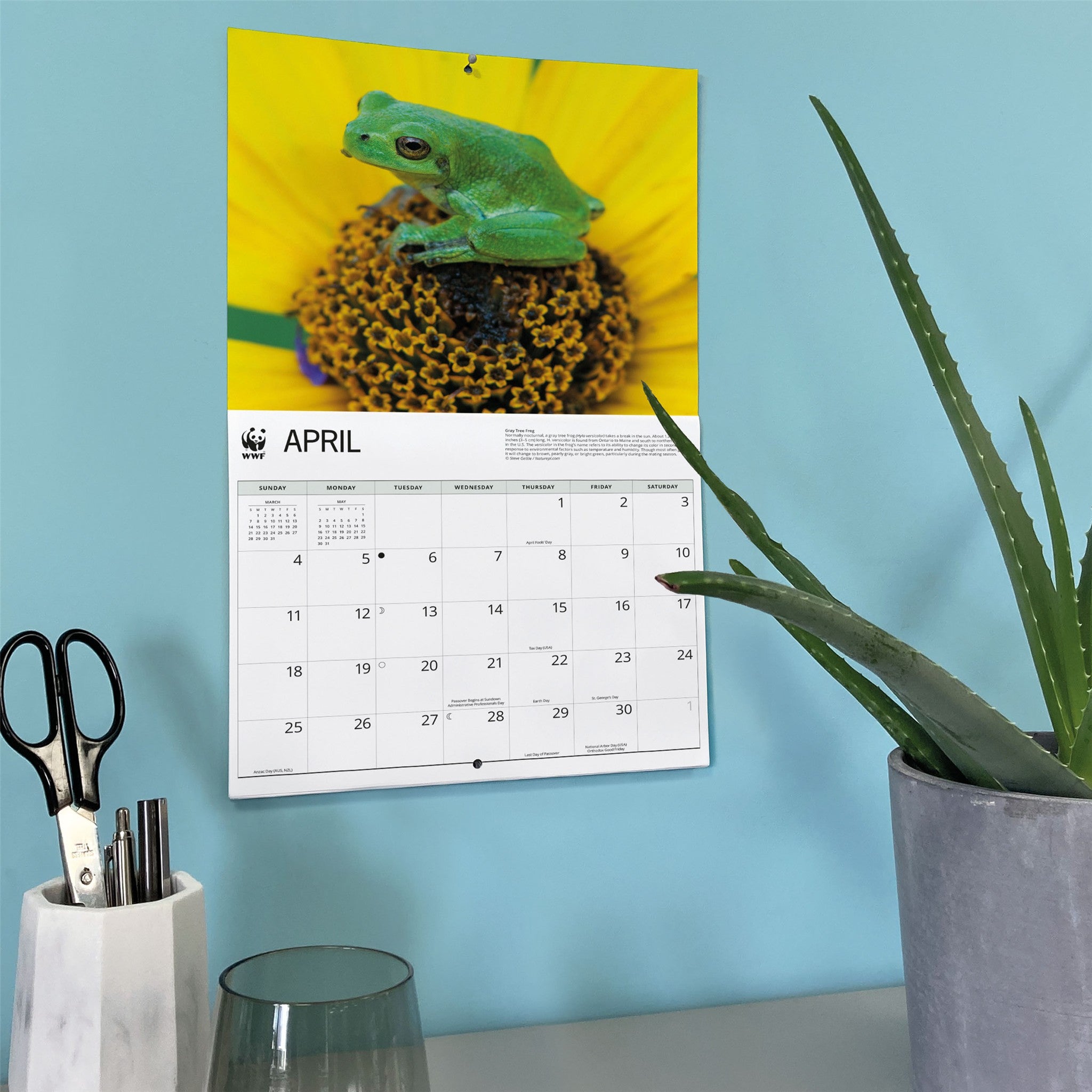 World Wildlife Fund Frogs 2027 Wall Calendar