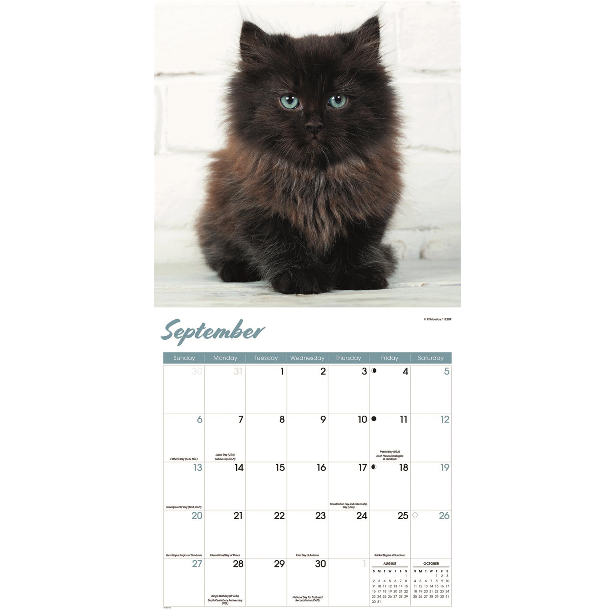 Black Kittens 2026 Wall Calendar