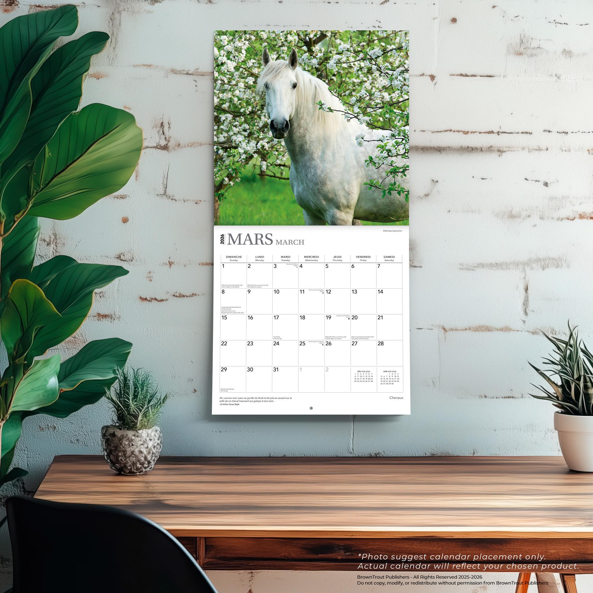 Chevaux 2026 Wall Calendar (French)