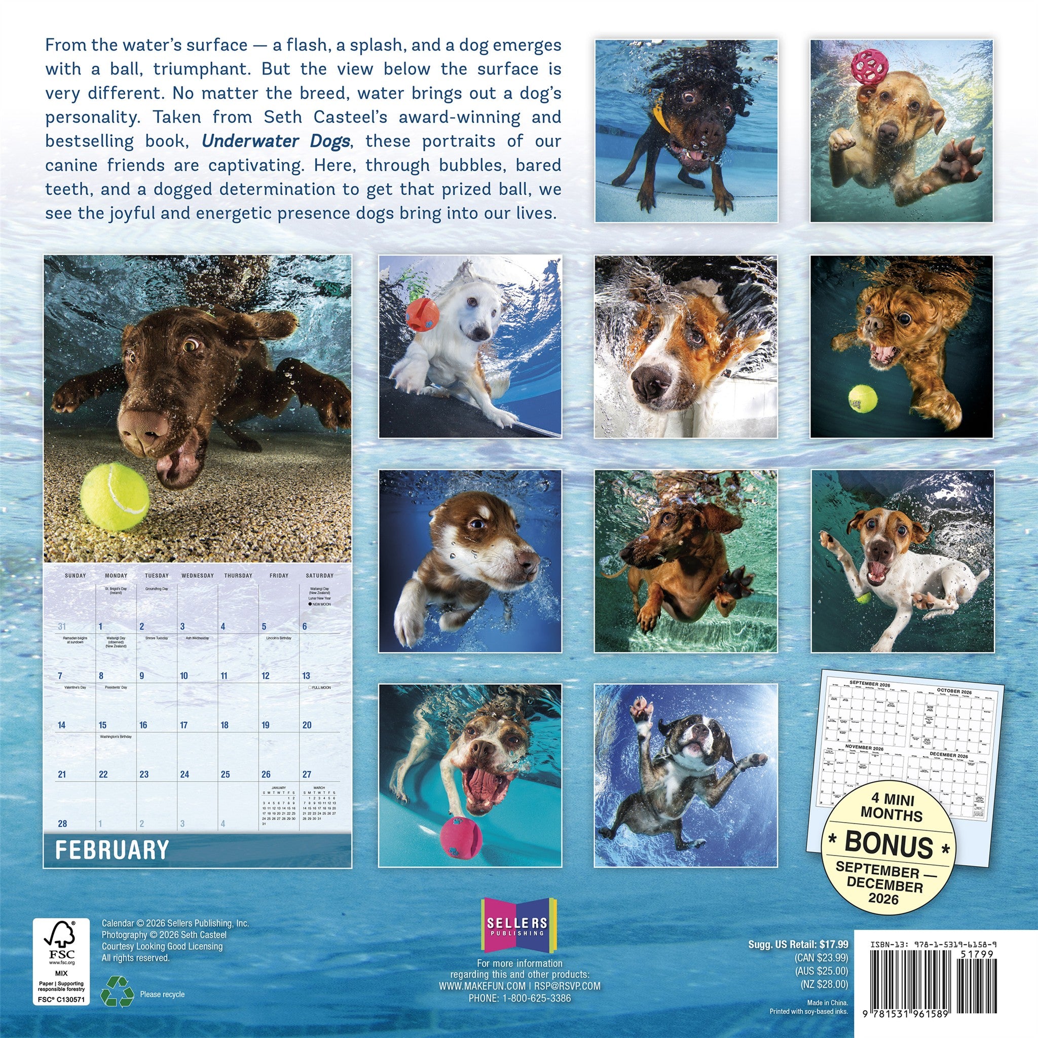 Underwater Dogs 2027 Wall Calendar