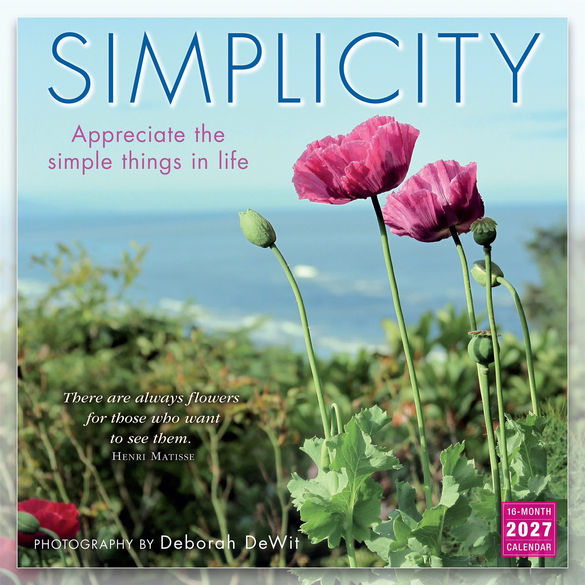 Simplicity 2027 Wall Calendar