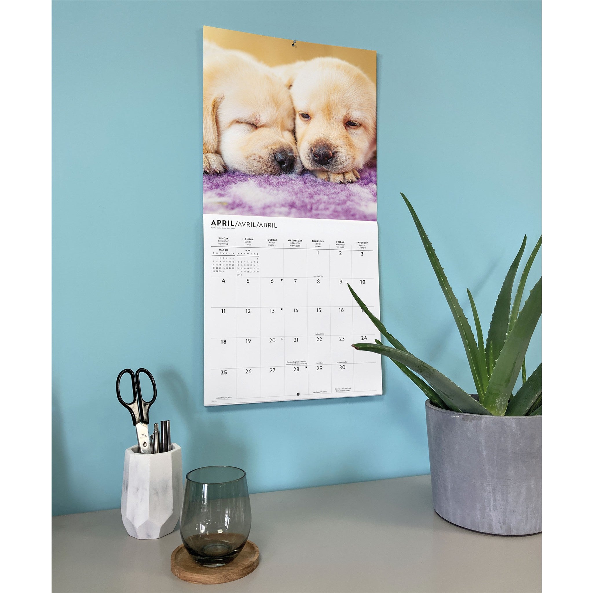 Puppy Love 2027 Wall Calendar