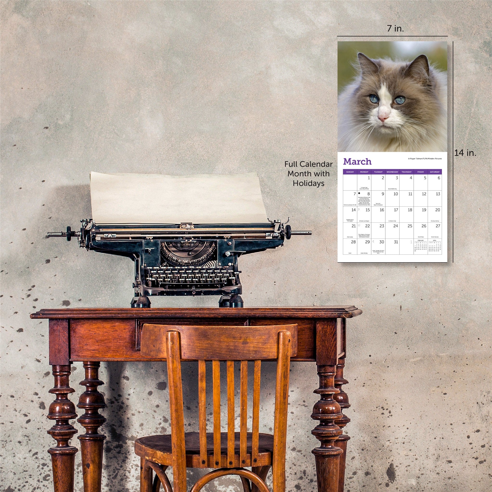 Cats 2027 Mini Calendar