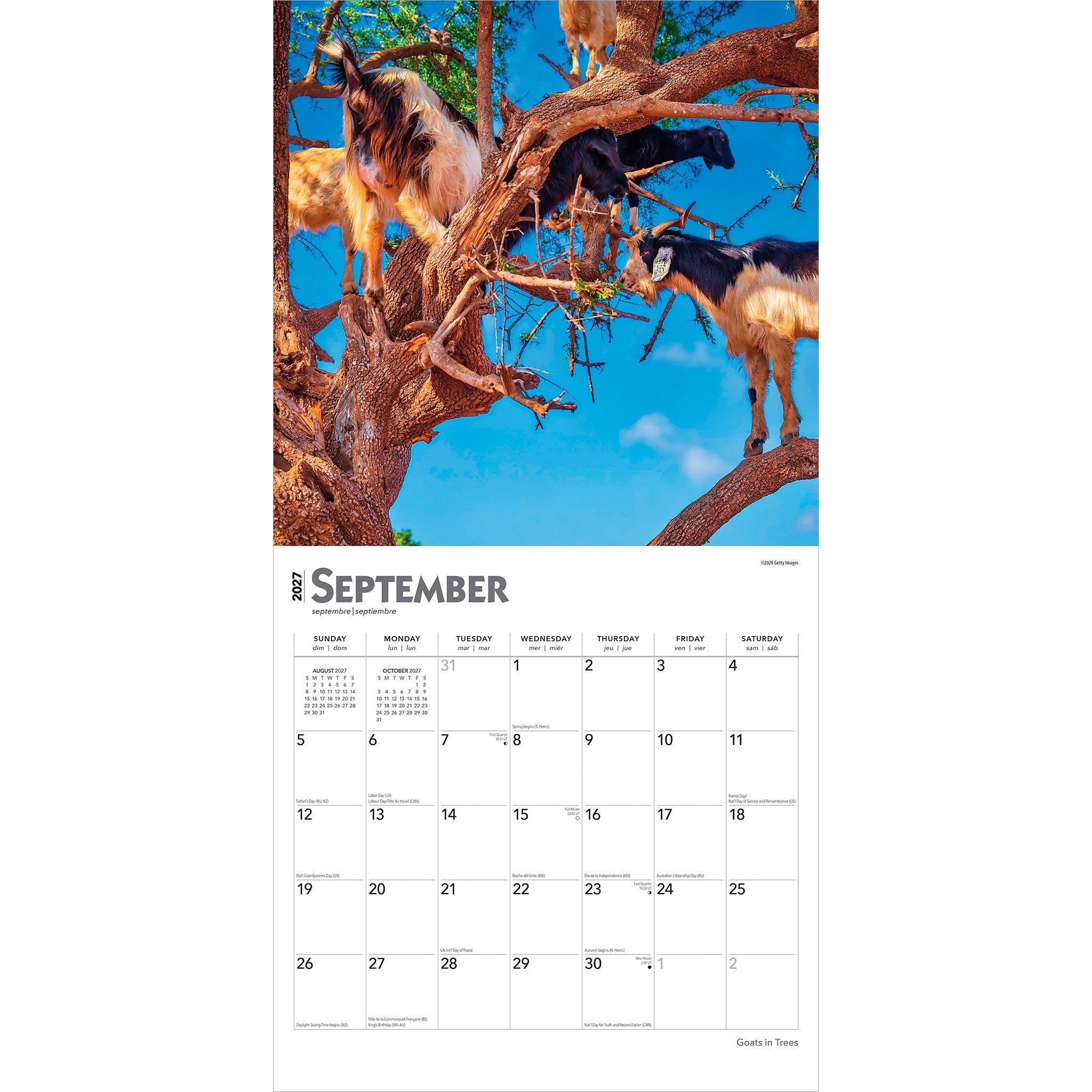 Goats in Trees 2027 Wall Calendar