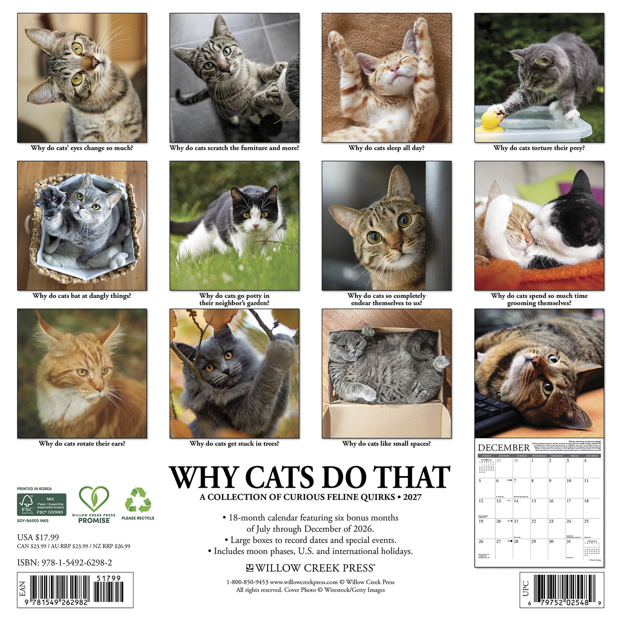 Why Cats Do That 2027 Wall Calendar