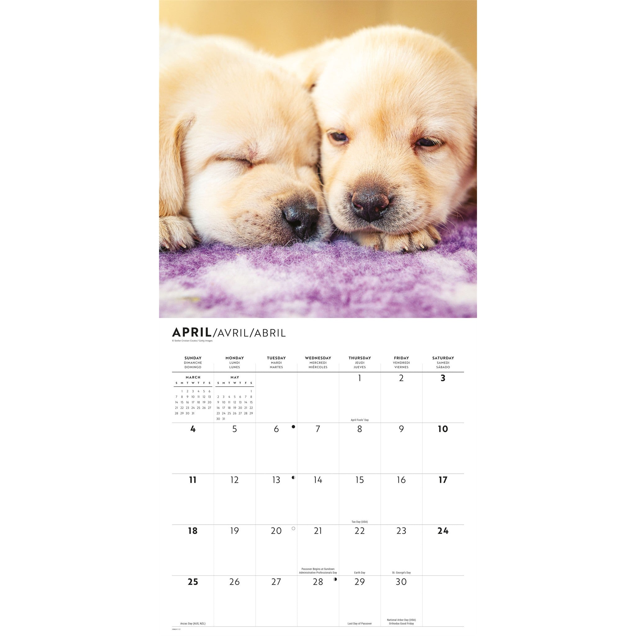 Puppy Love 2027 Wall Calendar