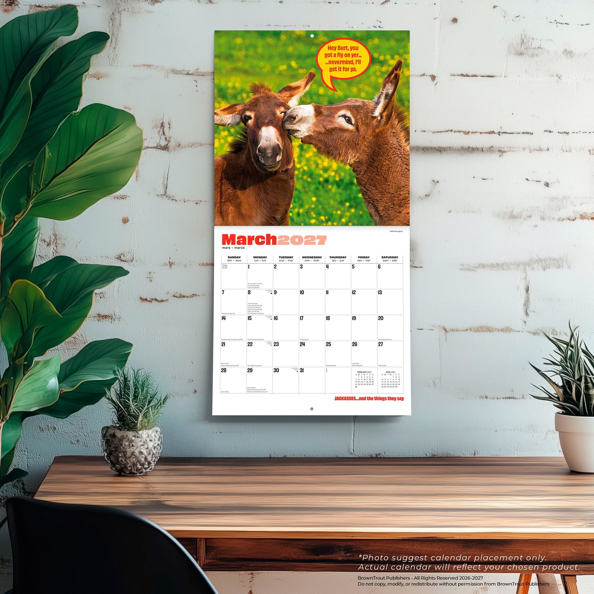 Jackasses 2027 Wall Calendar