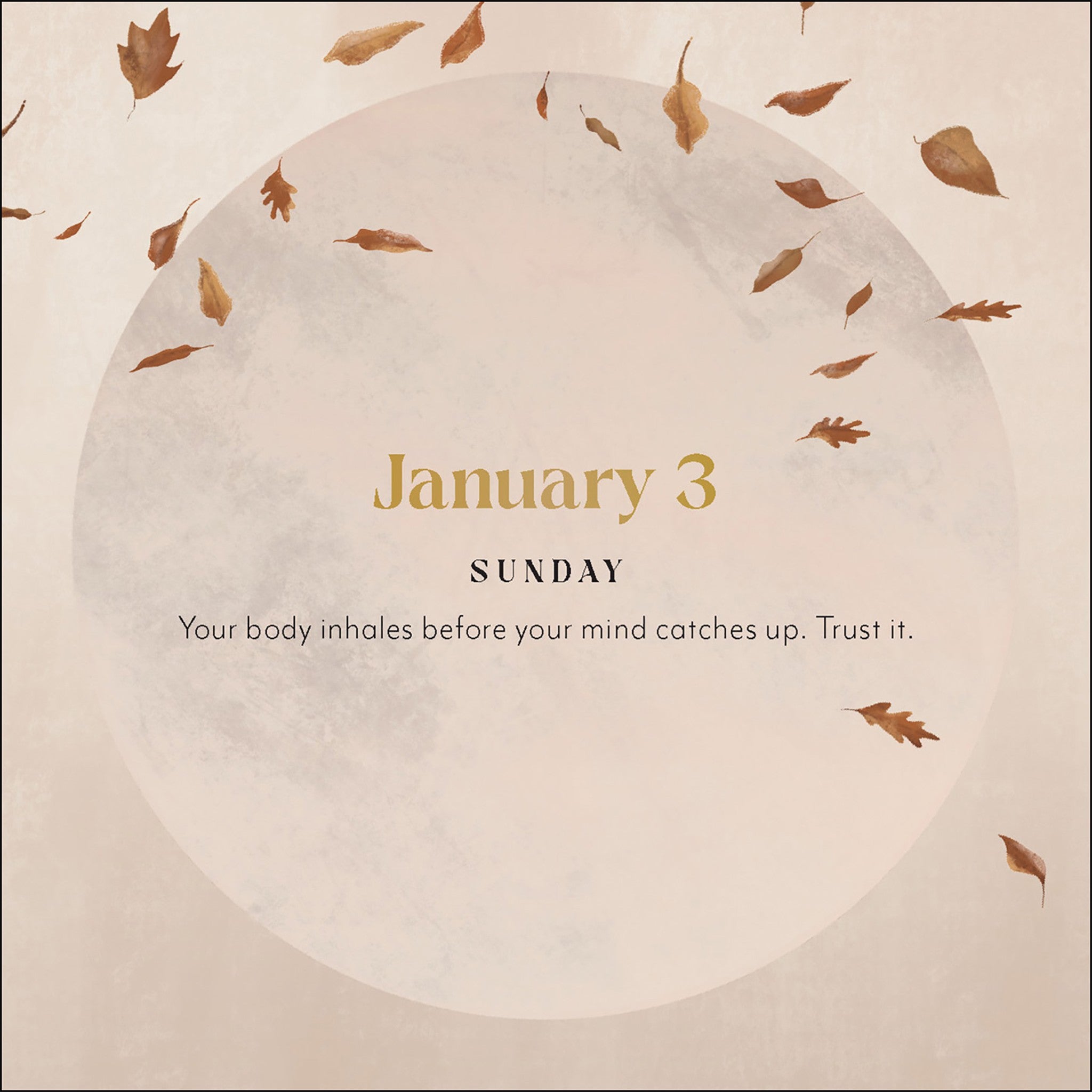 Yoga Magic 2027 Box Calendar