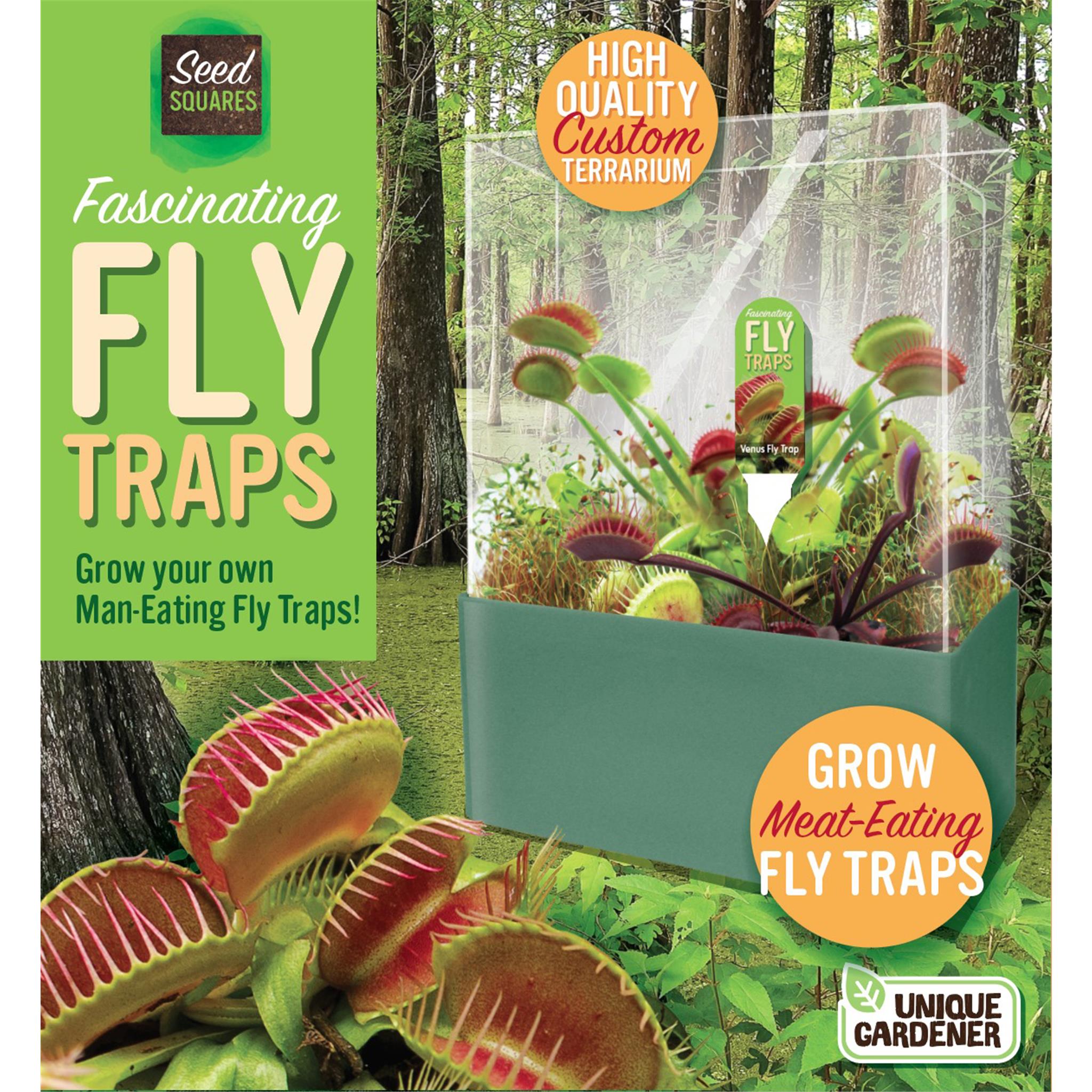 Fascinating Flytrap Seed Square