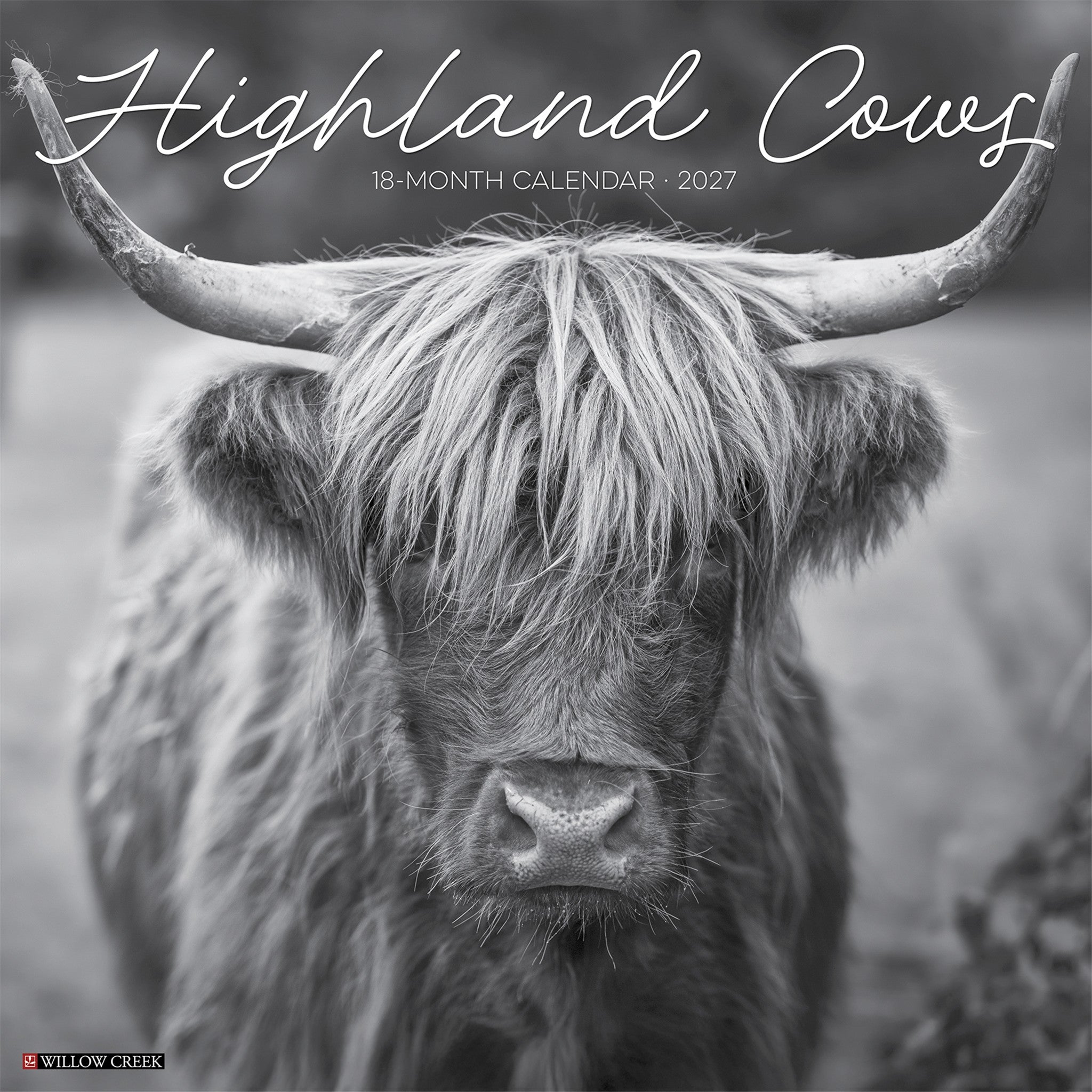Highland Cows (Black &White) 2027 Wall Calendar