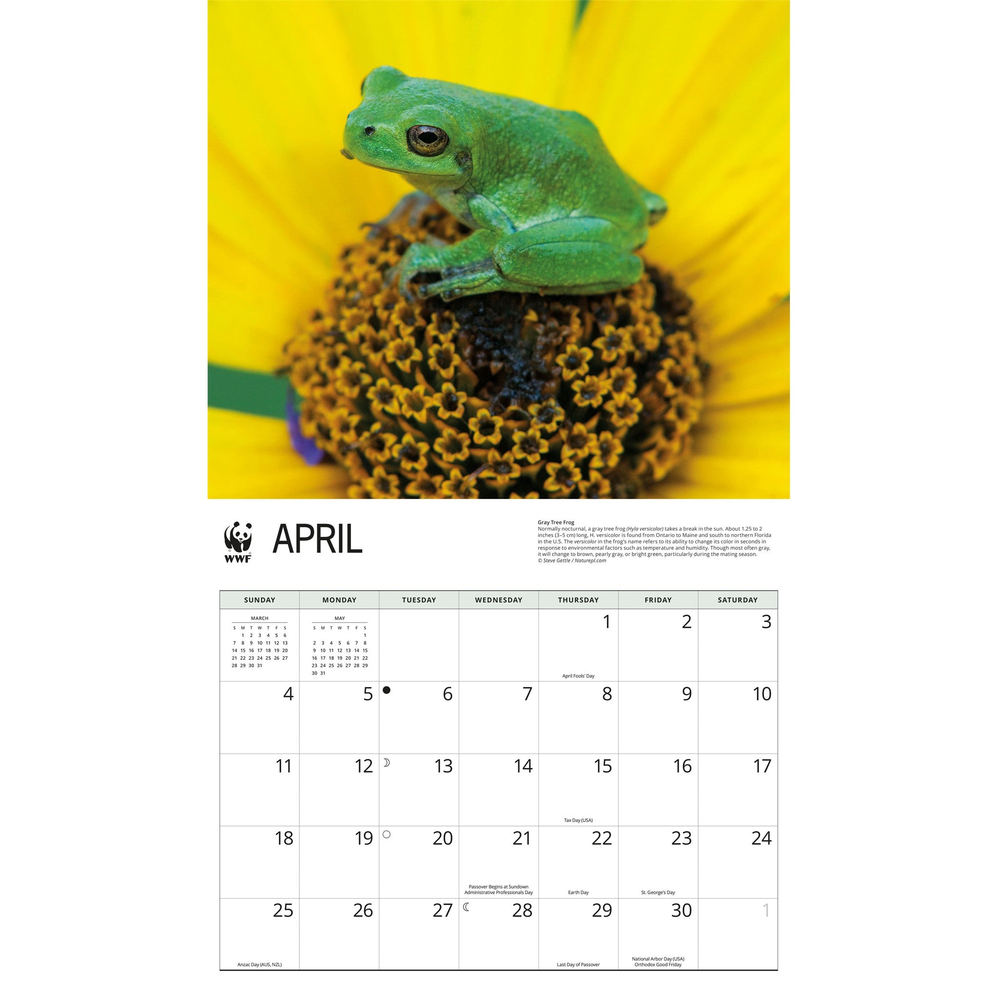 World Wildlife Fund Frogs 2027 Wall Calendar