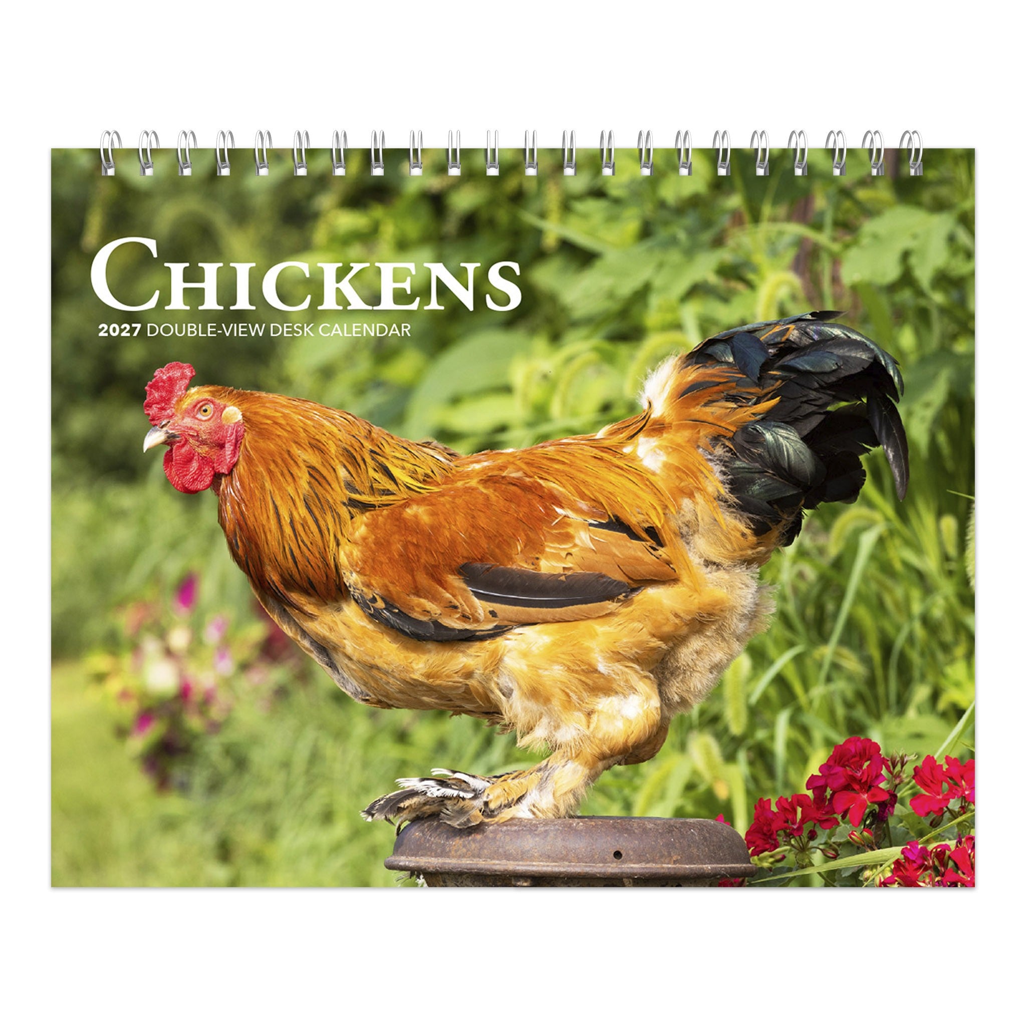 Chickens Double-View 2027 Easel Calendar - Online Only