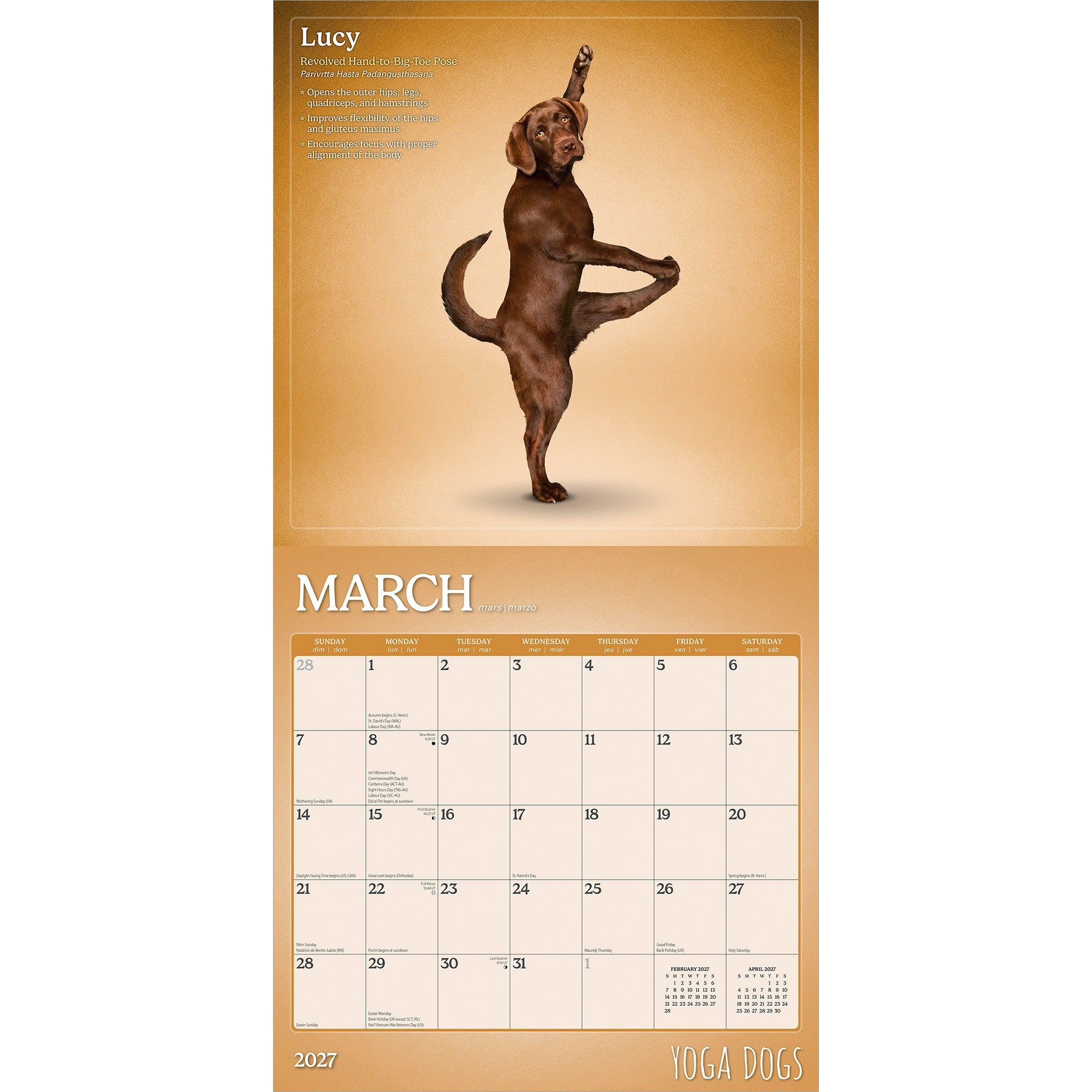 Yoga Dogs 2027 Wall Calendar