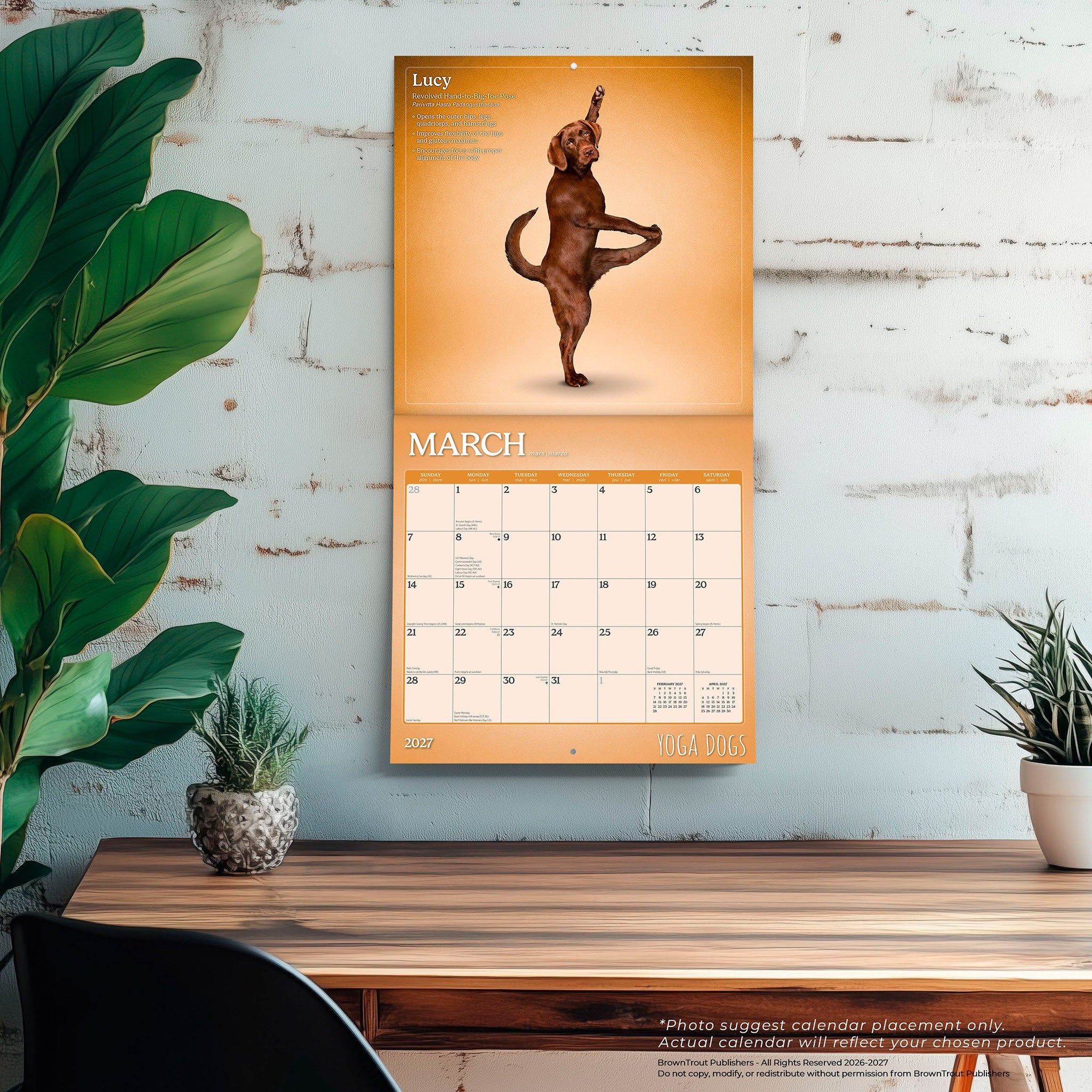 Yoga Dogs 2027 Wall Calendar