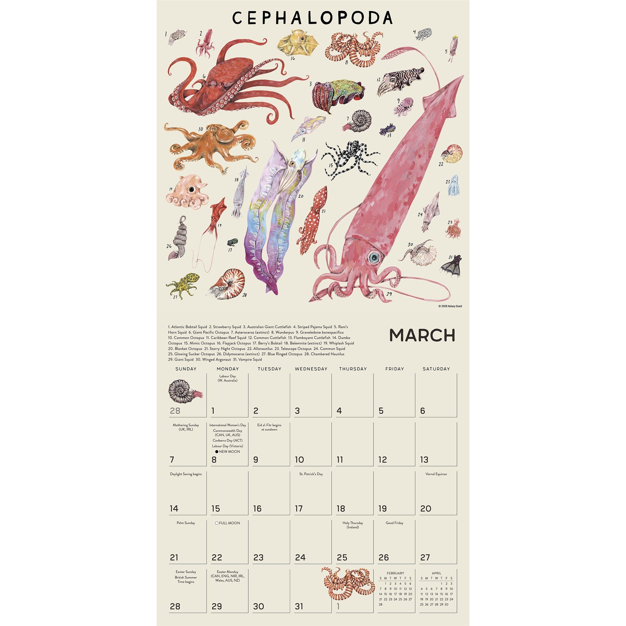 The Illustrated Animal Kingdom 2027 Wall Calendar - Online Only