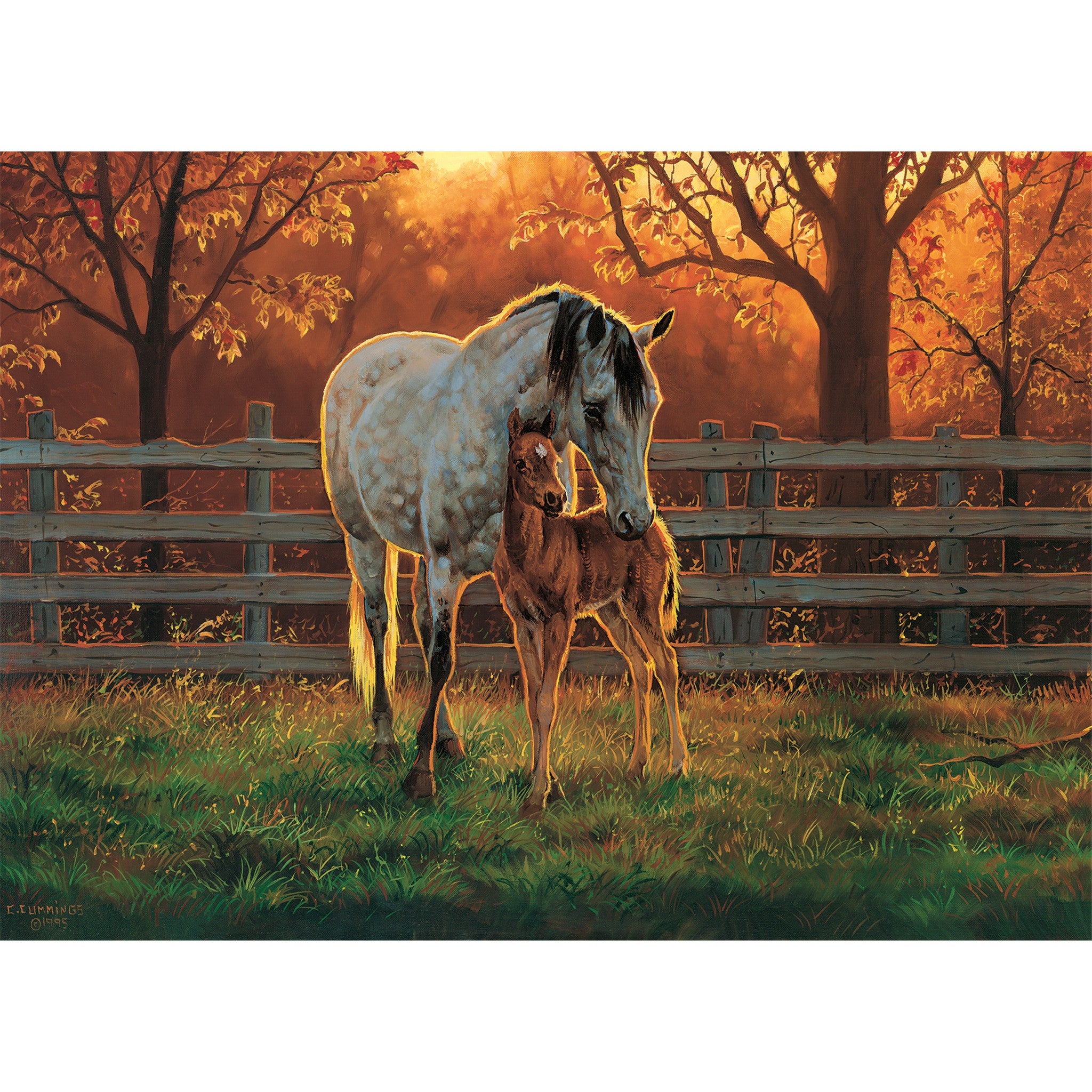 Quiet Time 500 Piece Puzzle