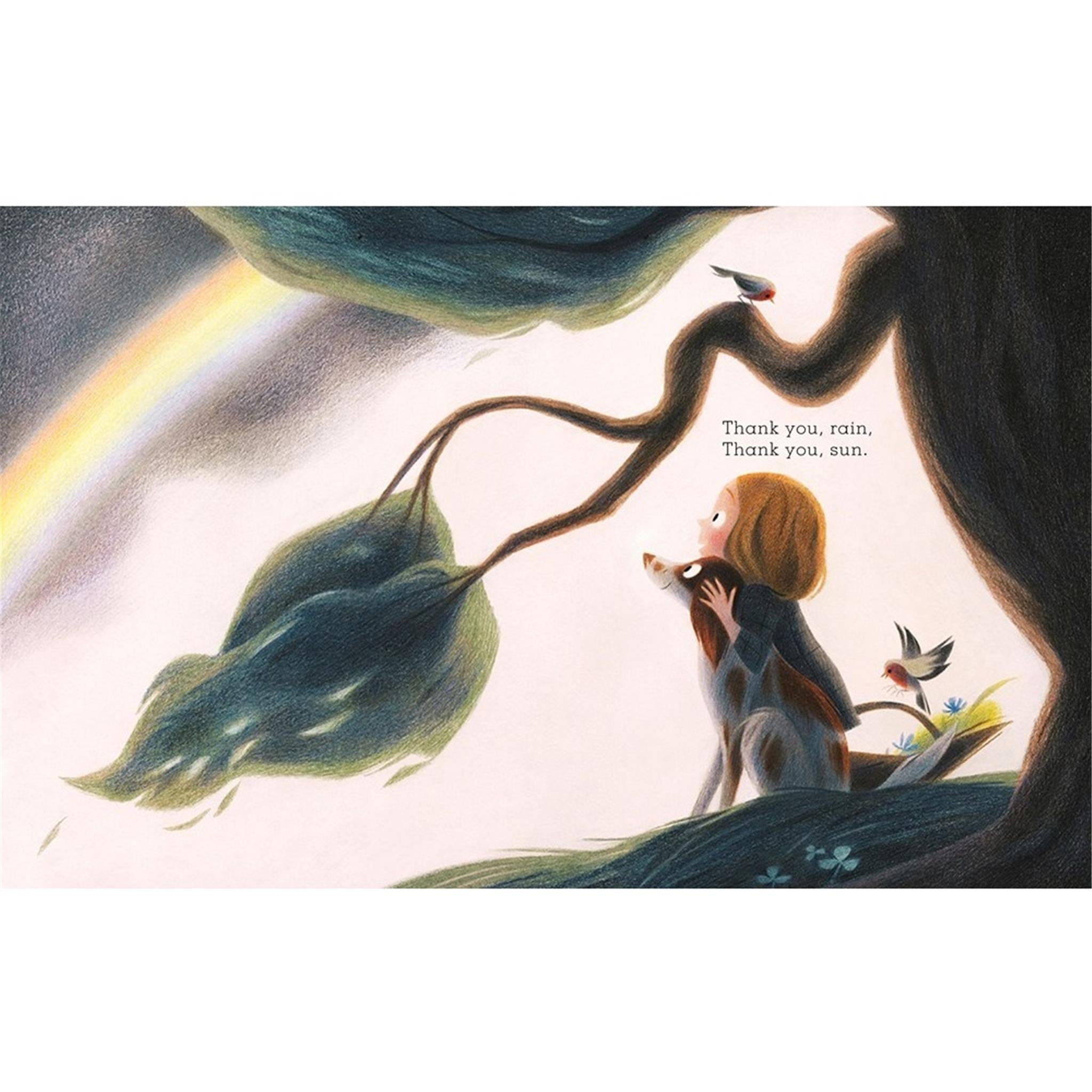 Apple Cake A Gratitude Childrens Book - FINAL SALE