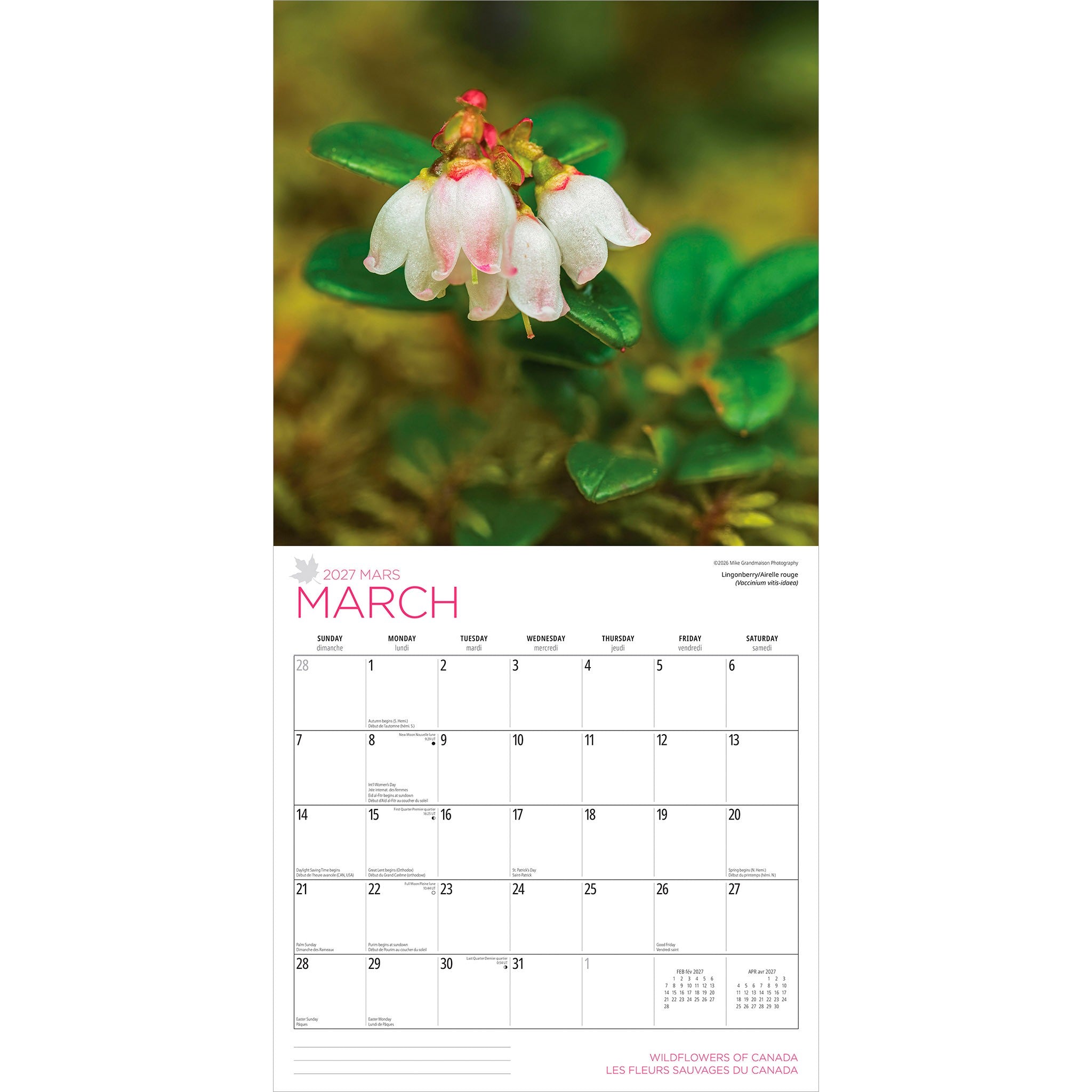 Wildflowers of Canada / Les fleurs sauvages du Canada 2027 Wall Calendar