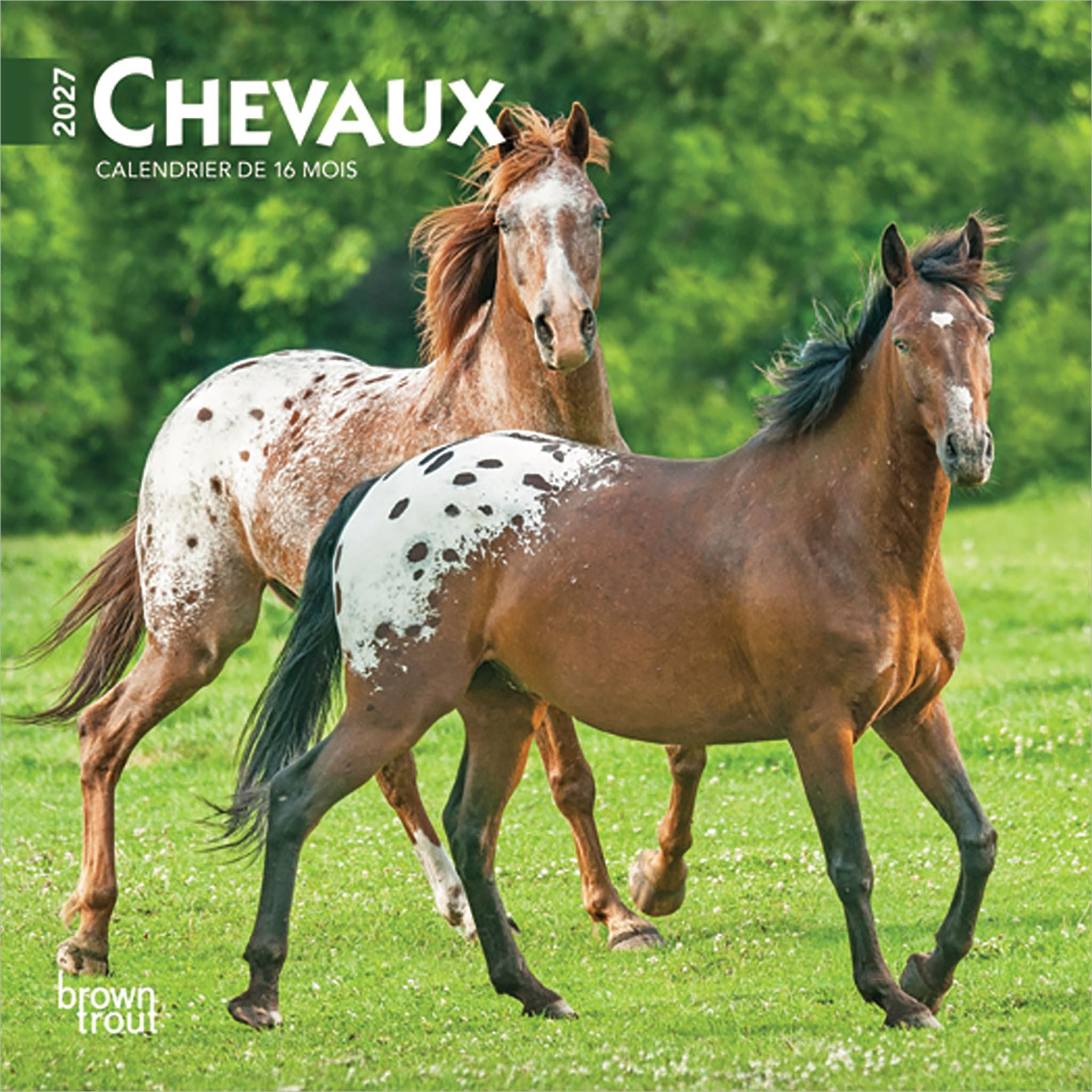 Chevaux 2027 Mini Calendar (French)