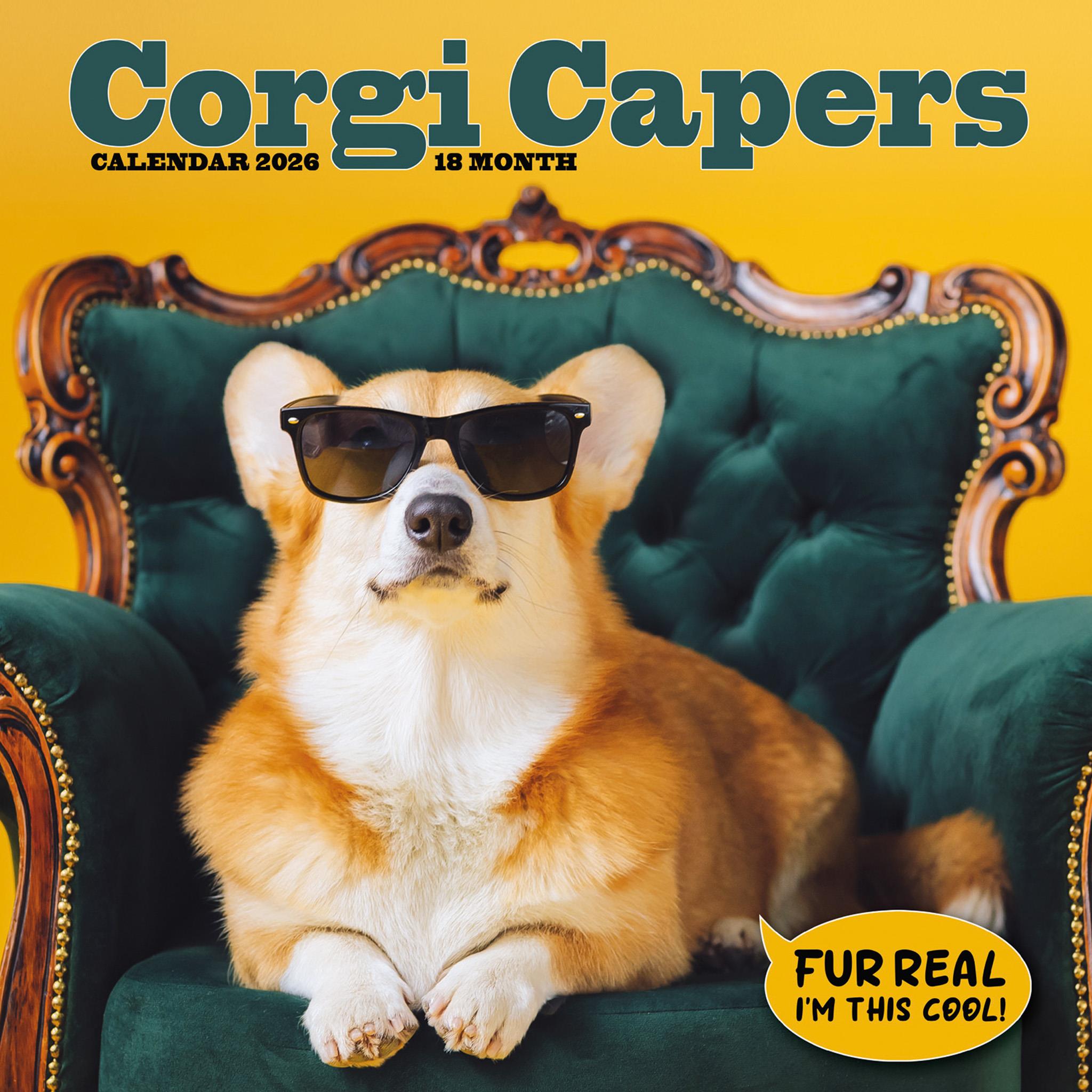 Corgi Capers 2026 Wall Calendar
