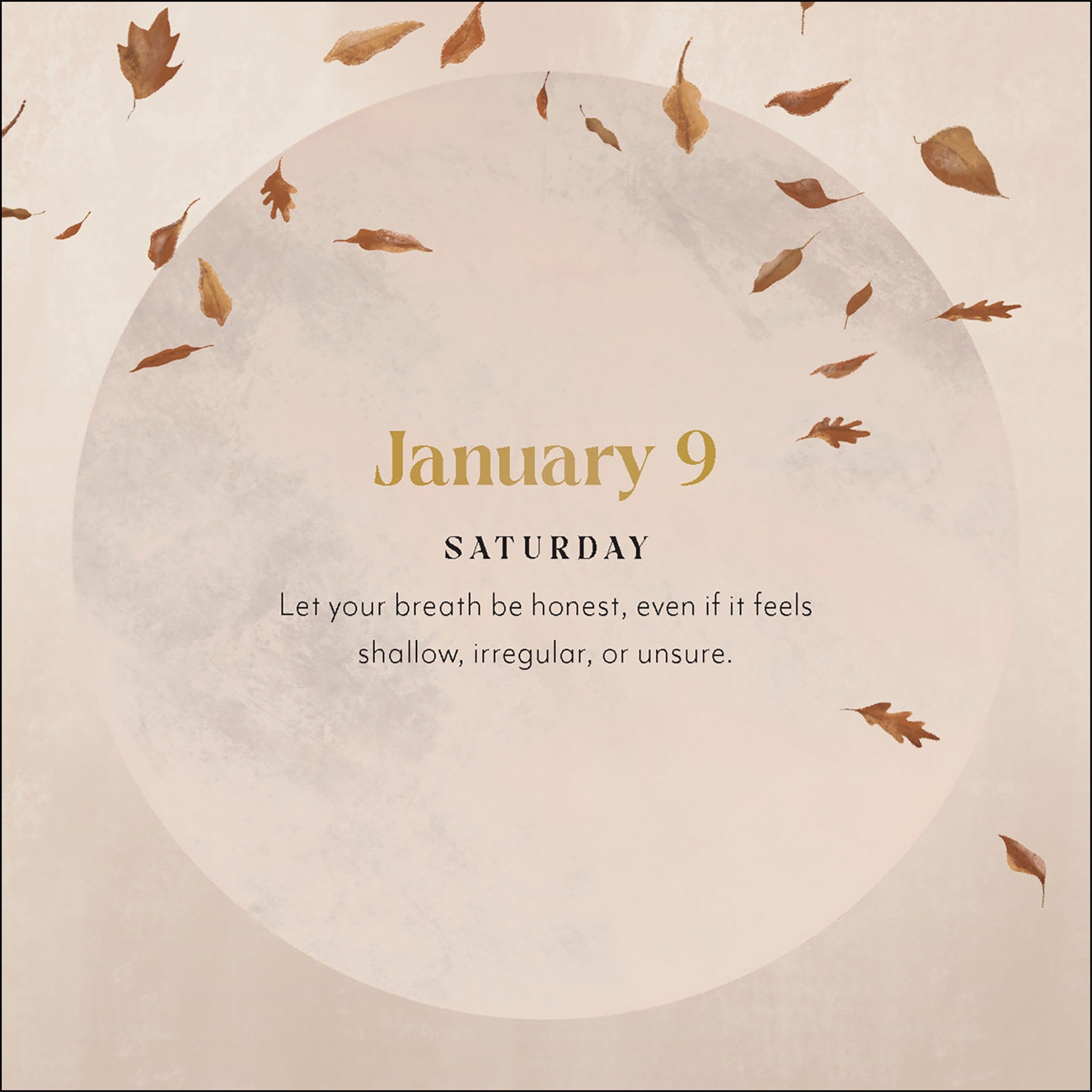 Yoga Magic 2027 Box Calendar