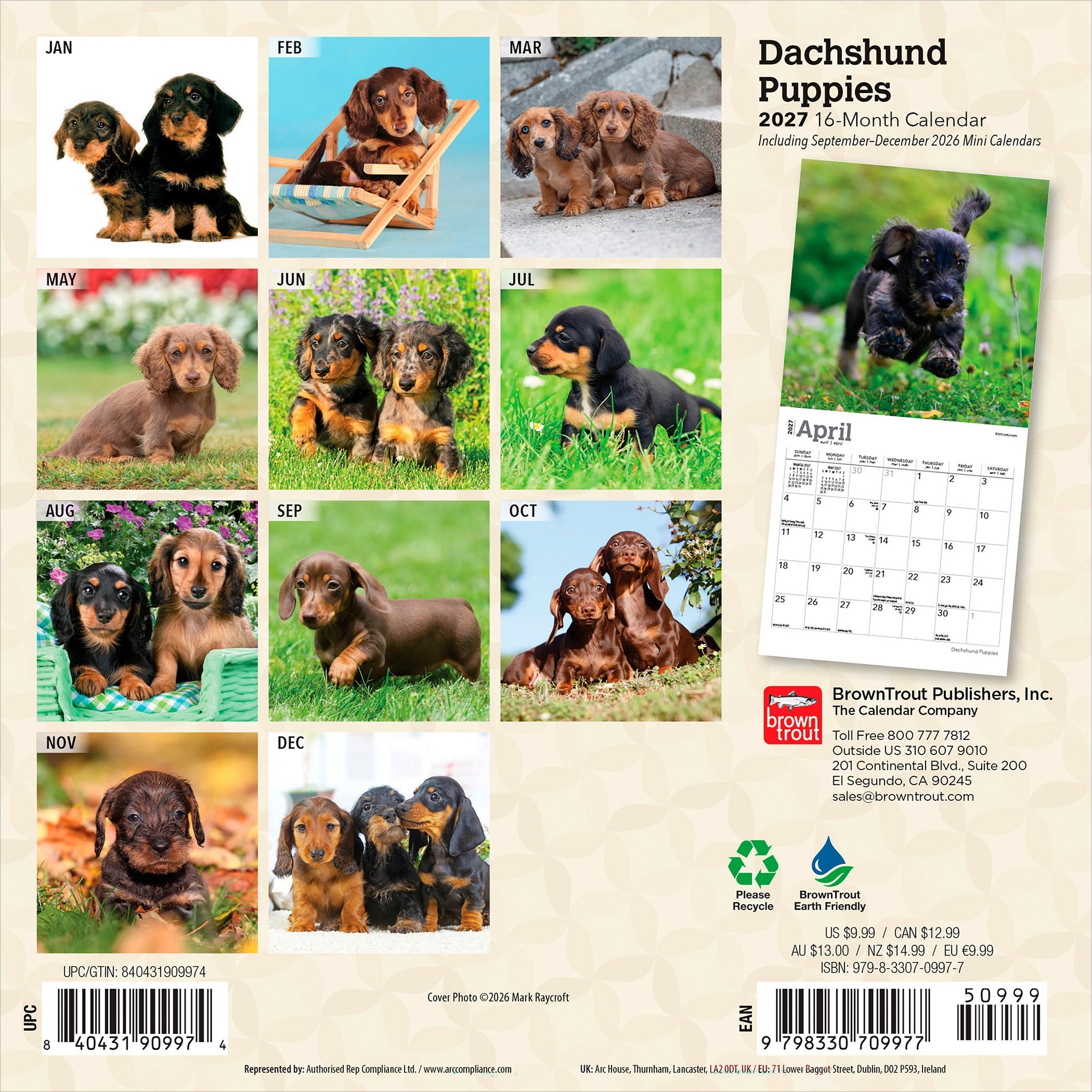 Dachshund Puppies 2027 Mini Calendar