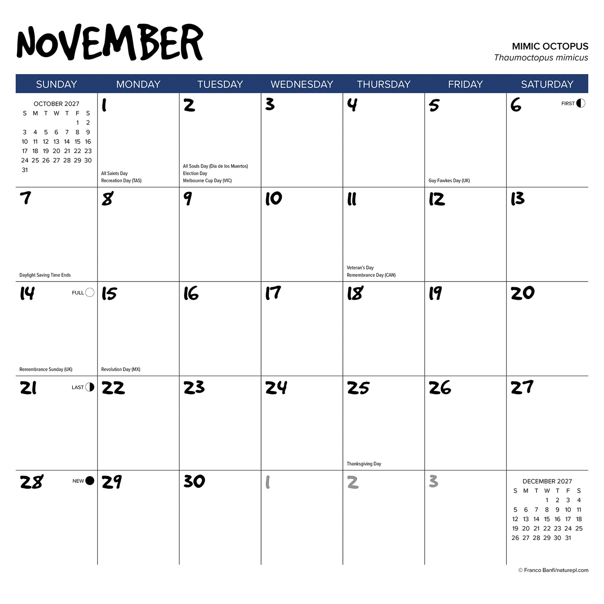 Octopus 2027 Wall Calendar