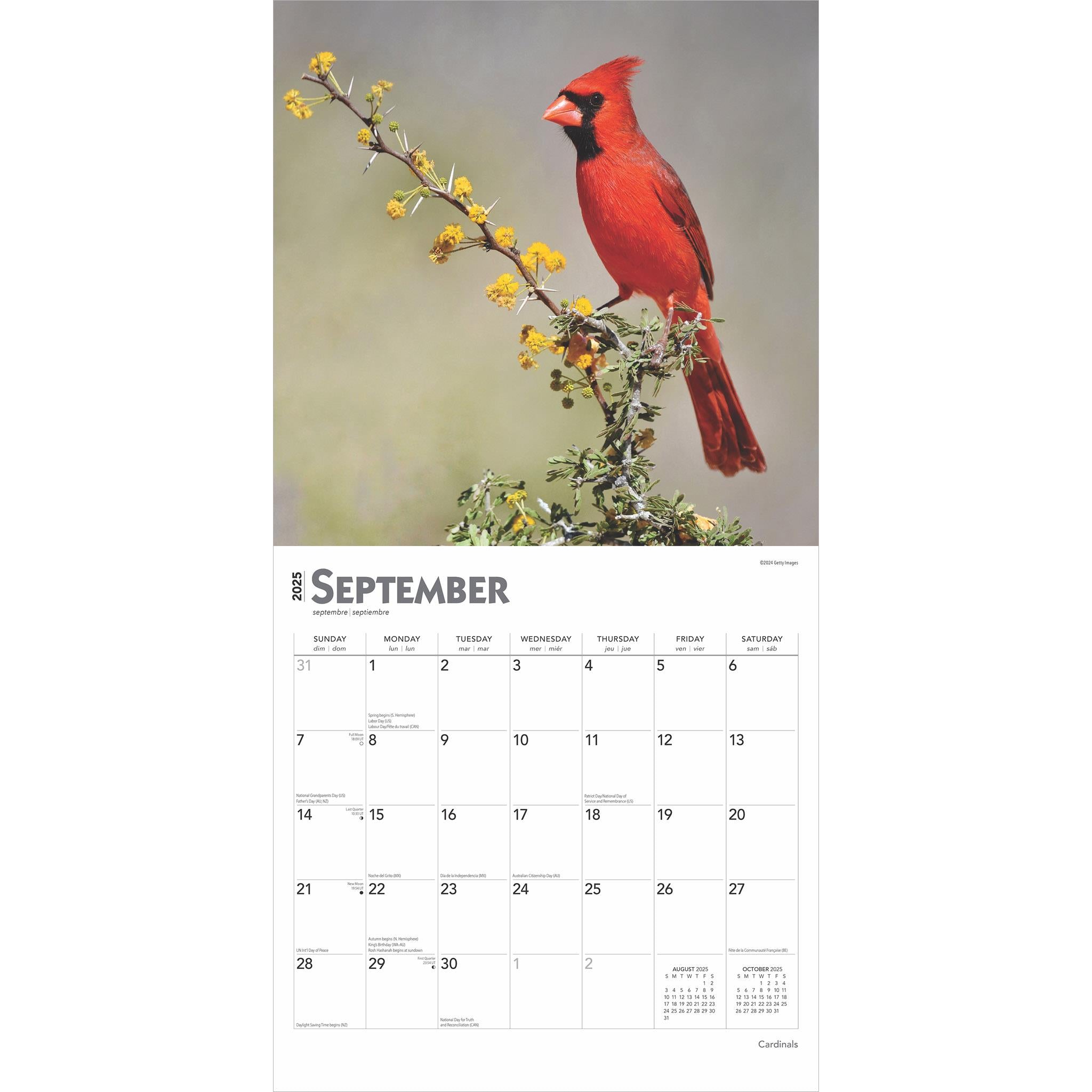 Cardinals Wall 2025 Calendar