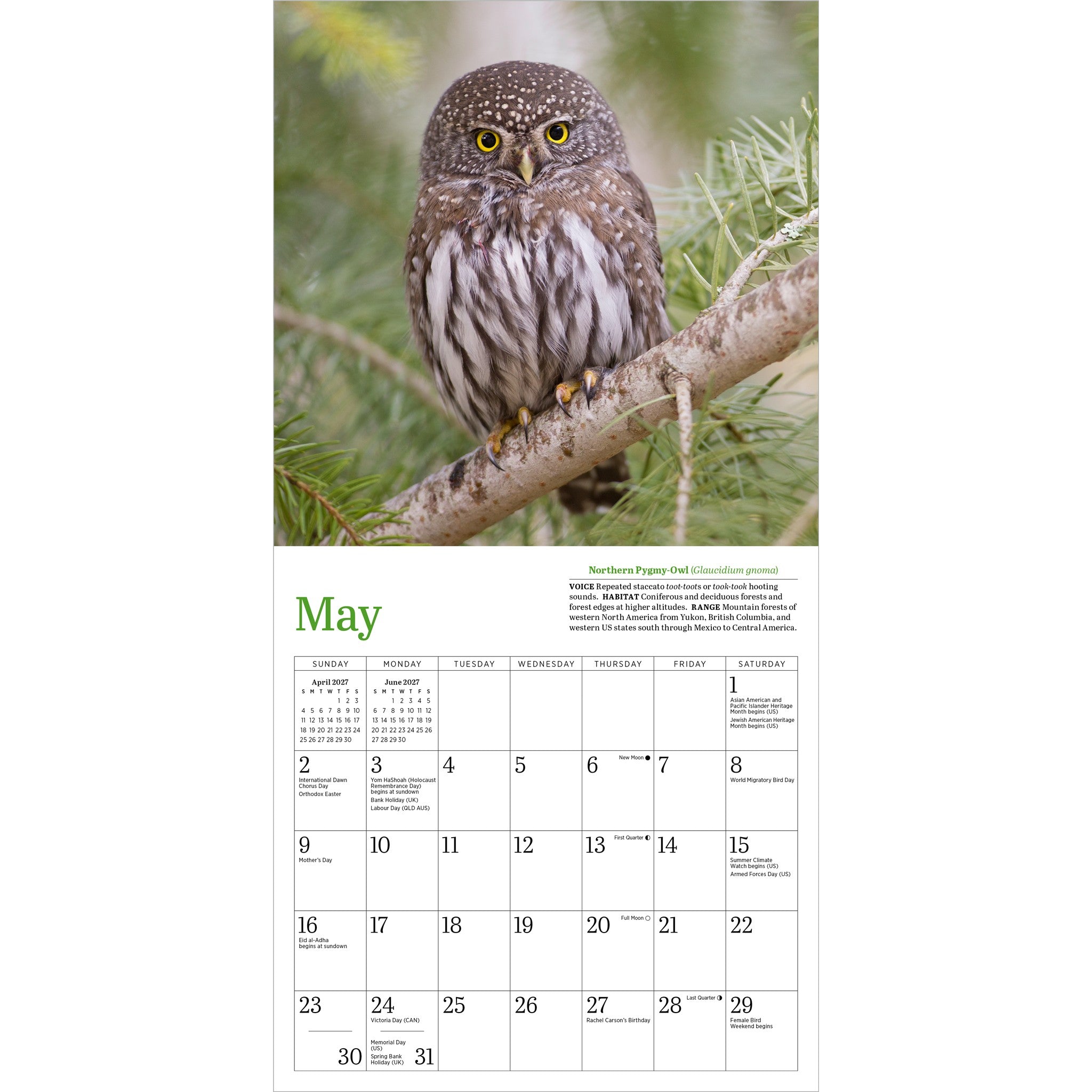 Audubon Little Owls 2027 Mini Calendar - Online Only