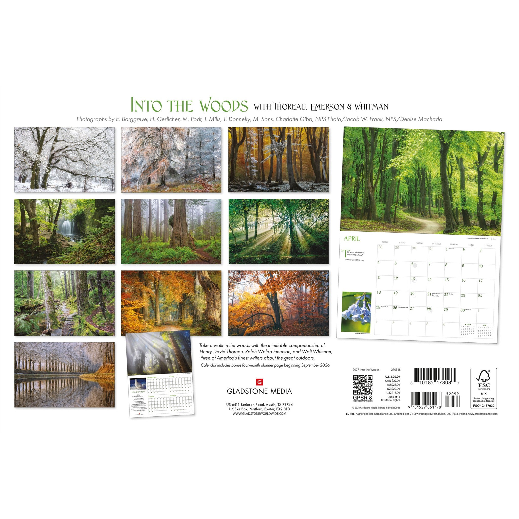 Into the Woods 2027 Oversized Wall Calendar