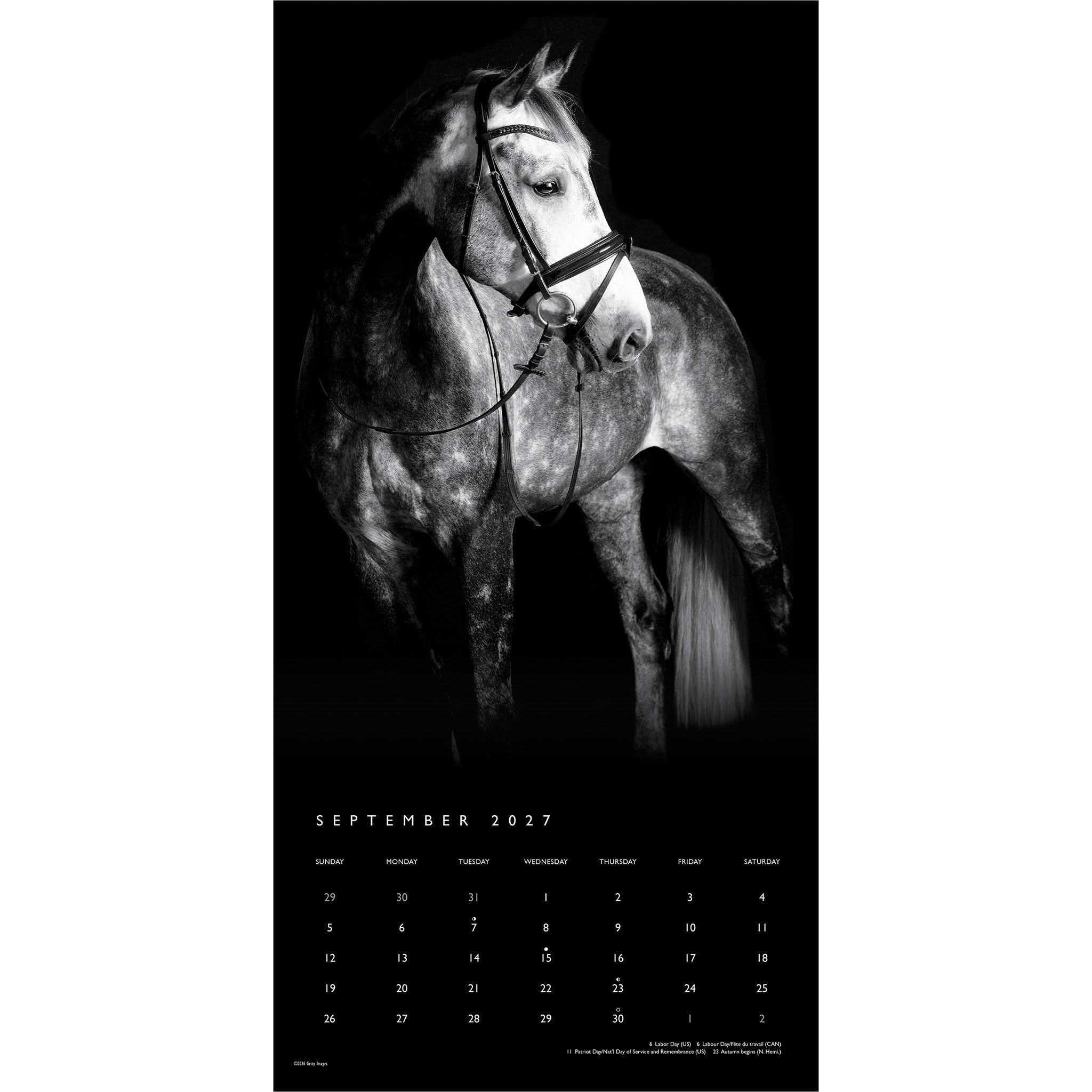 The Noble Horse 2027 Wall Calendar