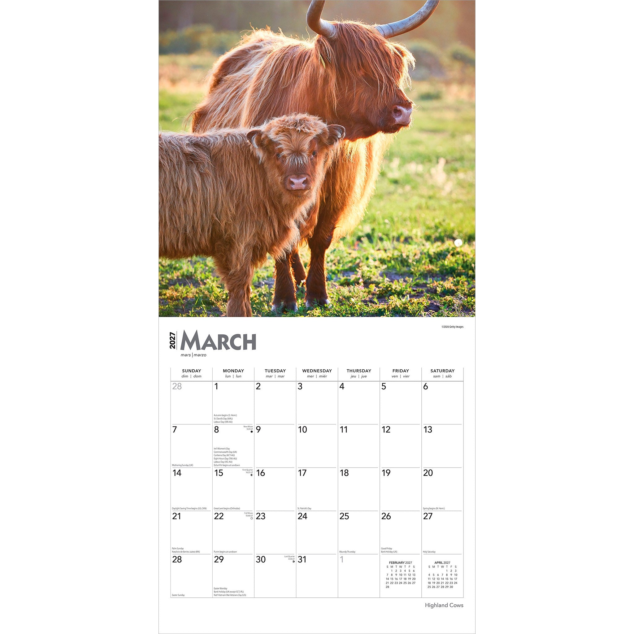 Highland Cows 2027 Wall Calendar