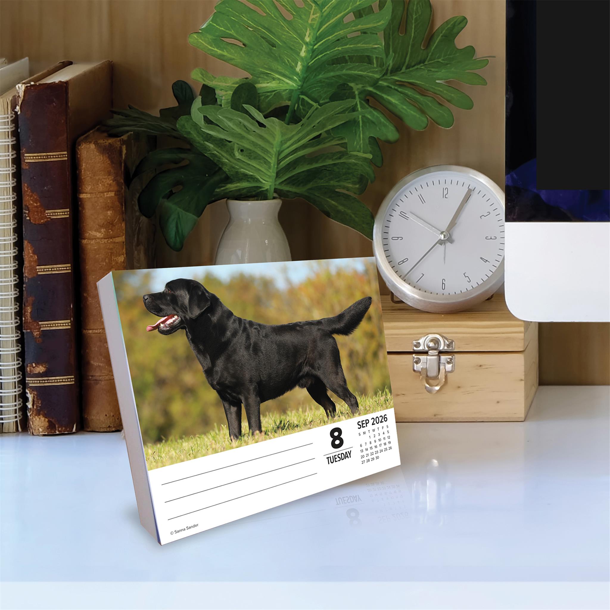 Just Labs 2026 Box Calendar - Online Only
