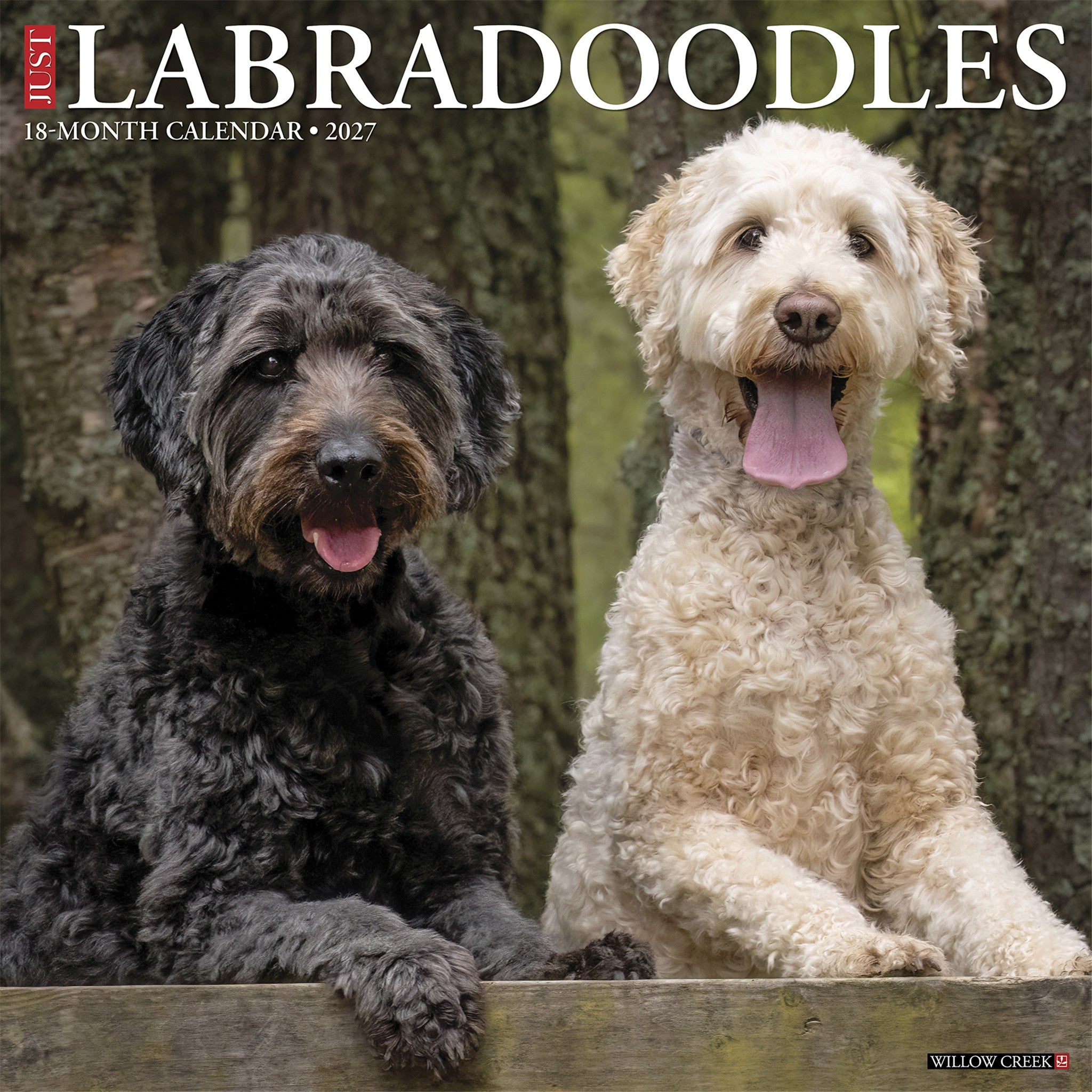 Labradoodles 2027 Wall Calendar