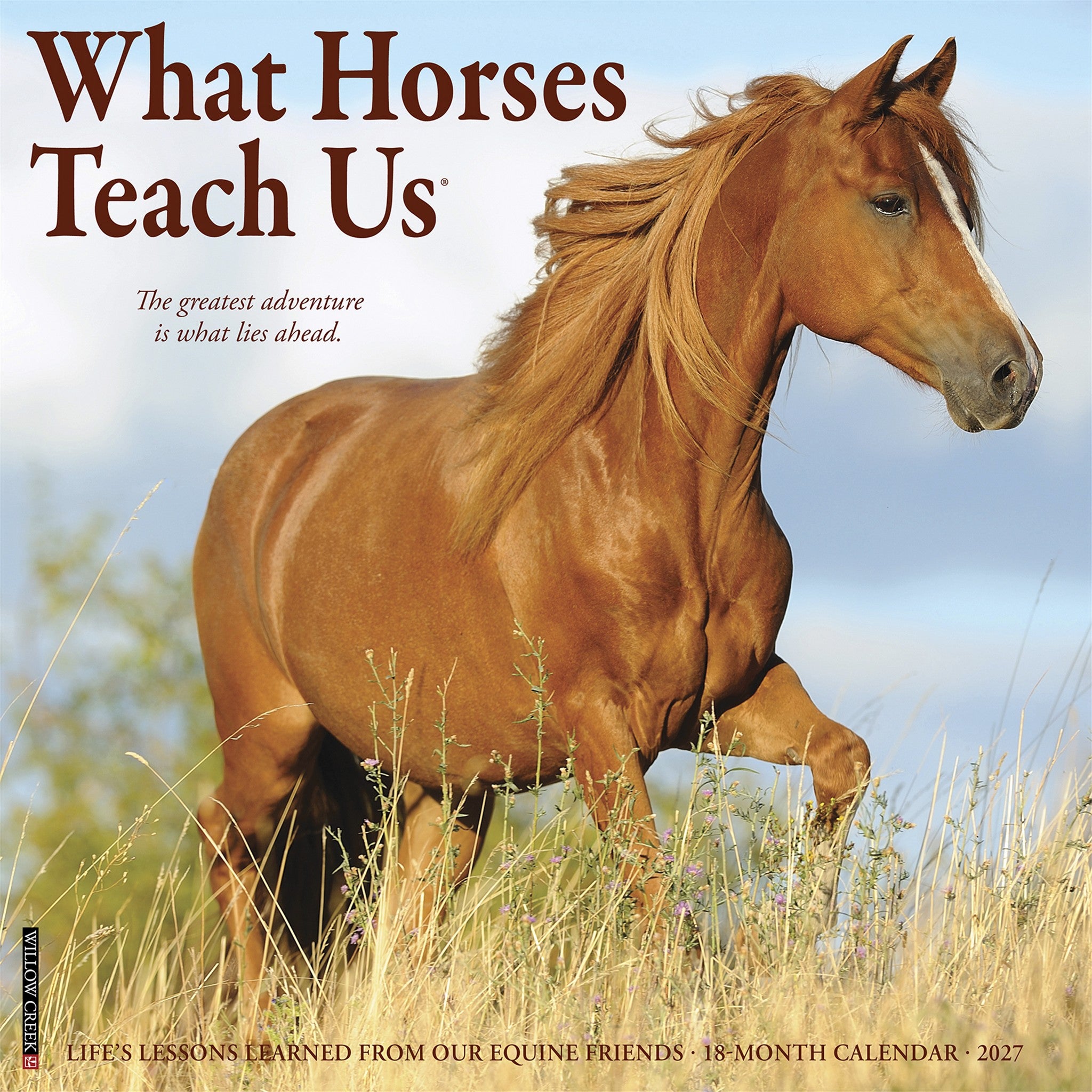 What Horses Teach Us 2027 Wall Calendar