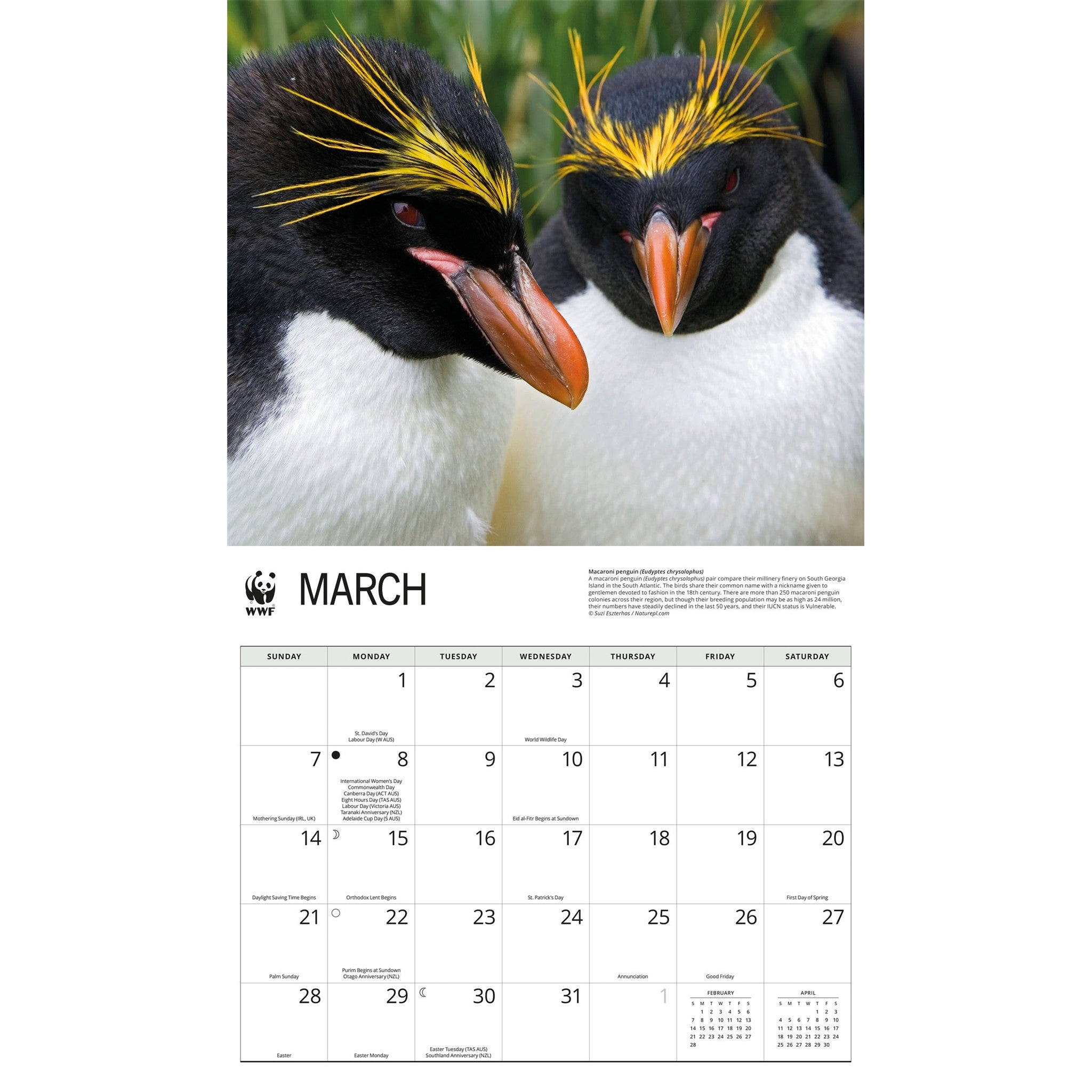 World Wildlife Fund Penguins 2027 Wall Calendar