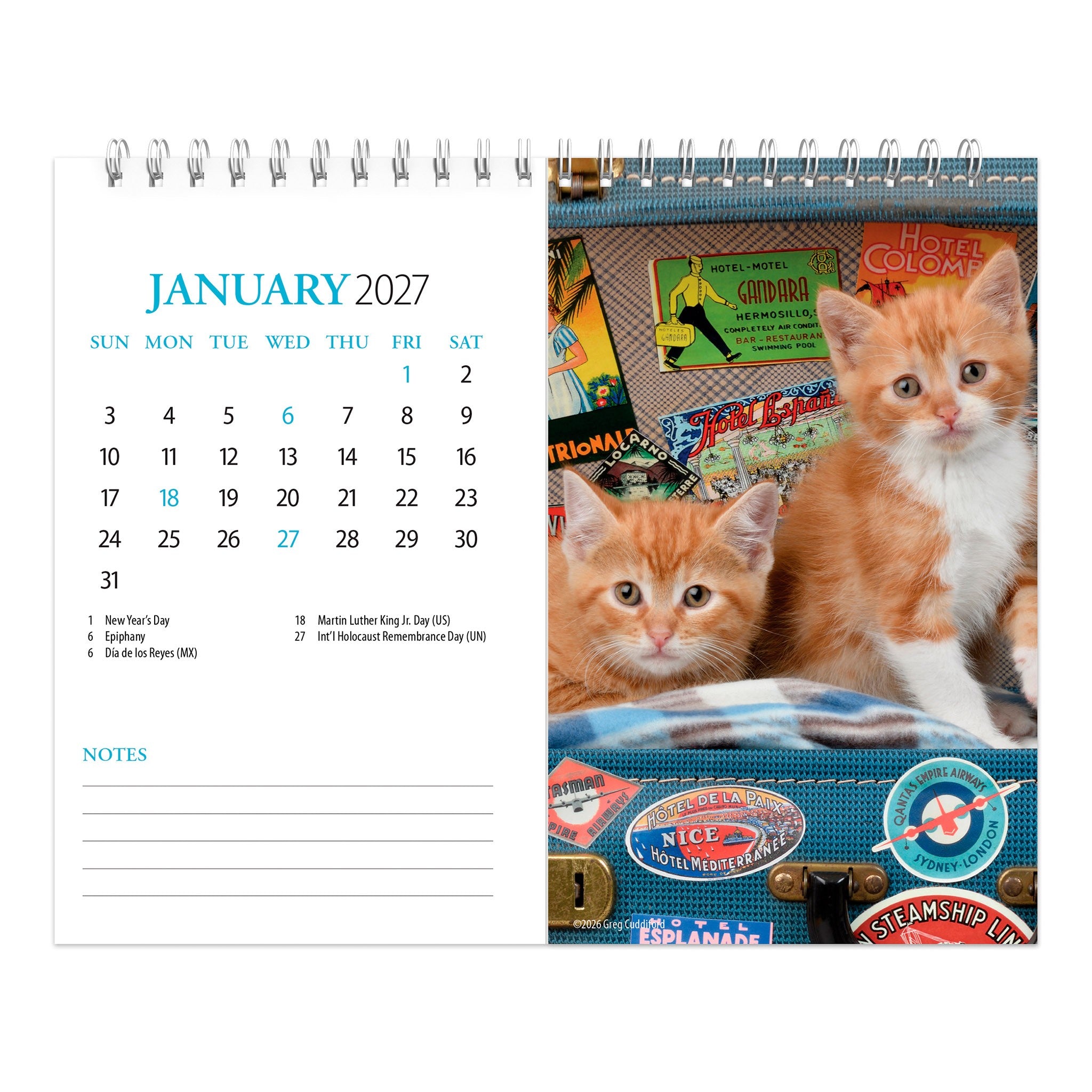 Kittens 2027 Easel Calendar