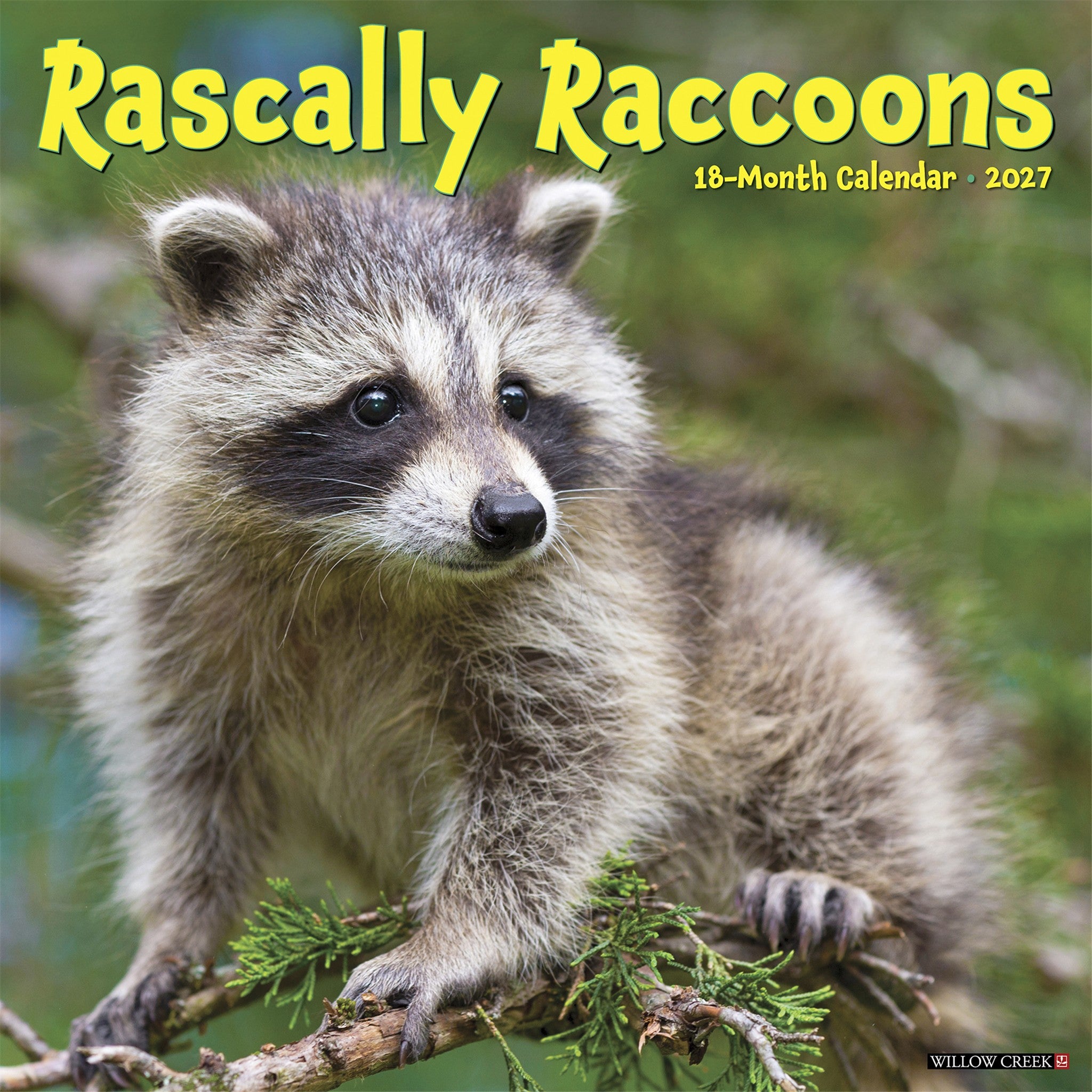 Rascally Raccoons 2027 Wall Calendar