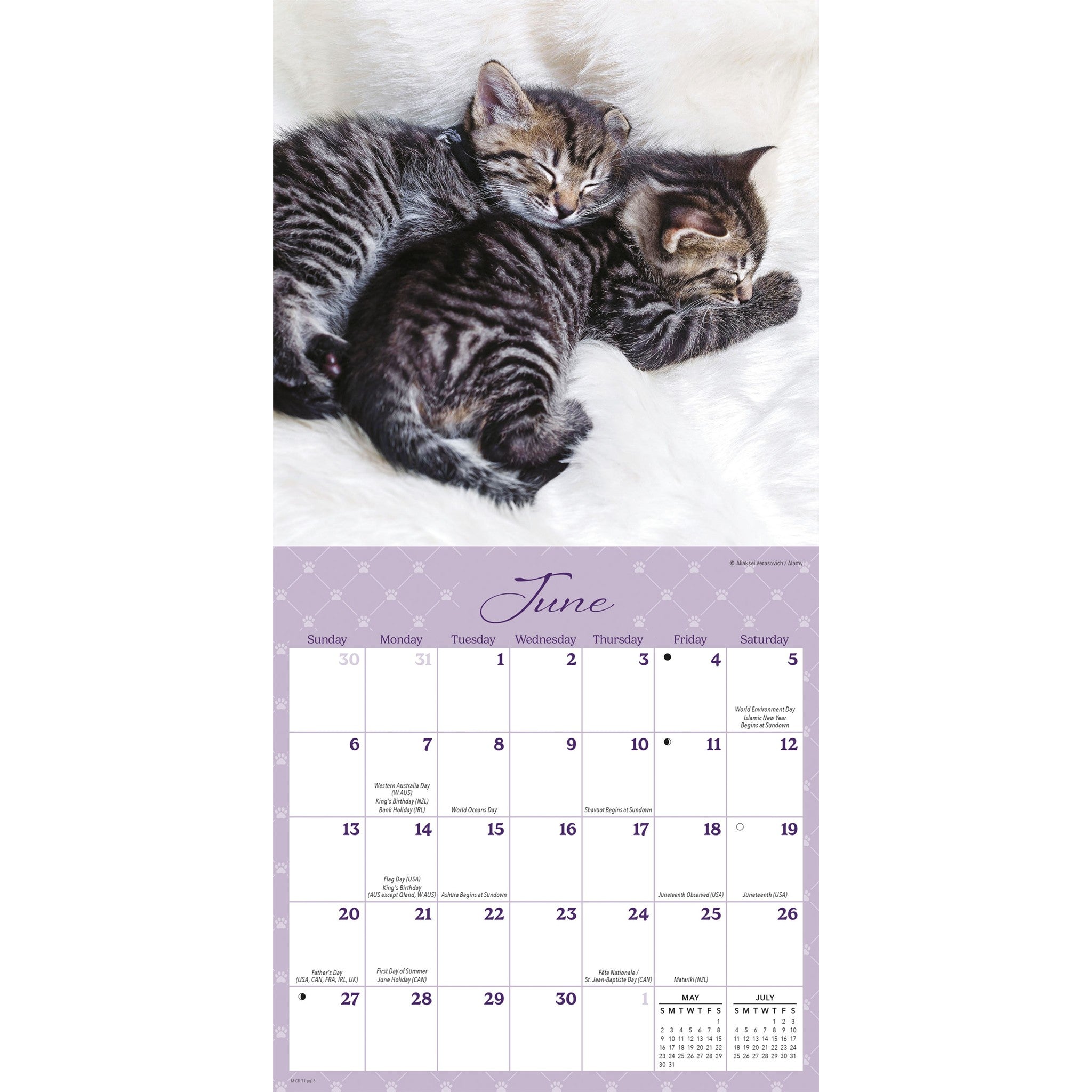 Naptime 2027 Mini Calendar