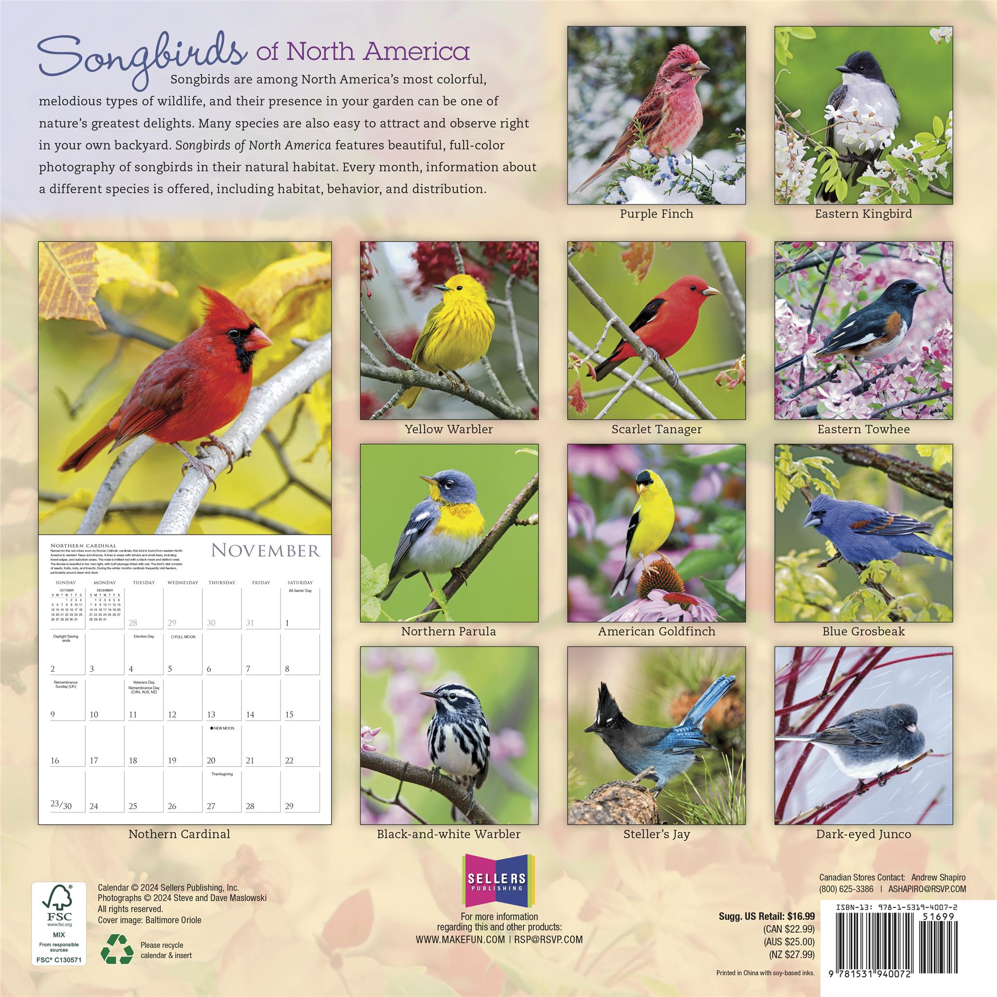 Songbirds Of North America Wall 2025 Calendar