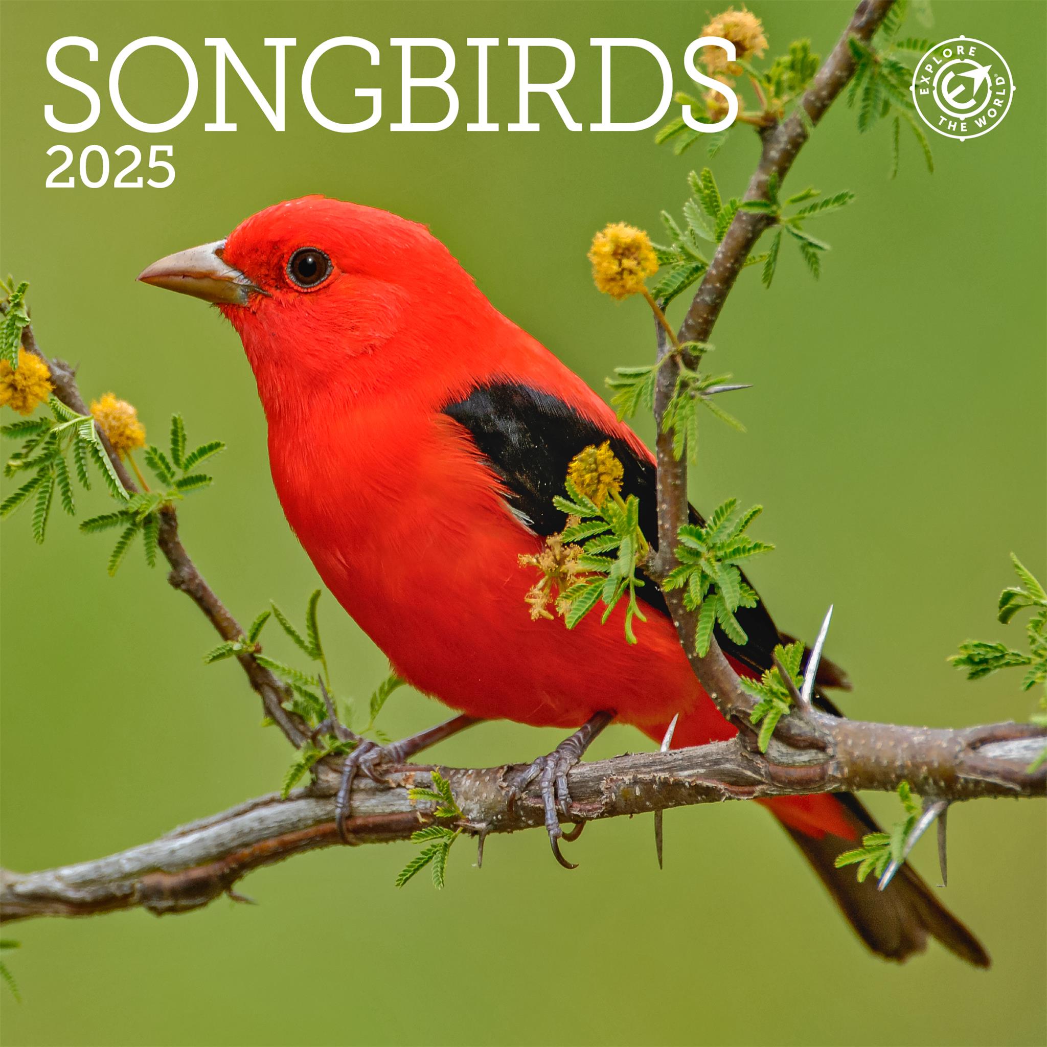 Songbirds Mini 2025 Calendar